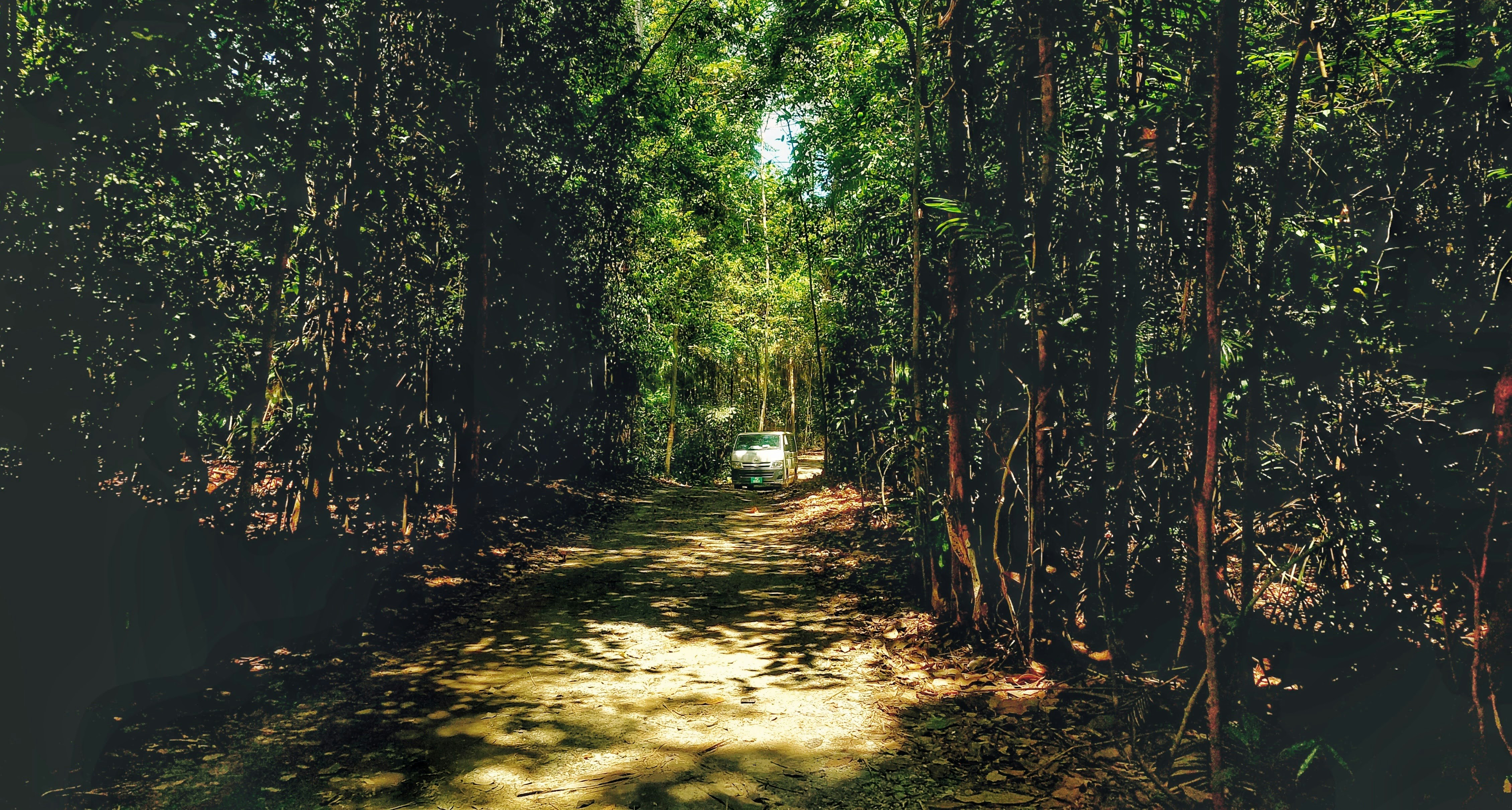 The Best Off-Road Trails in the USA for 2025: 35 Epic Routes from Slickrock to Sand