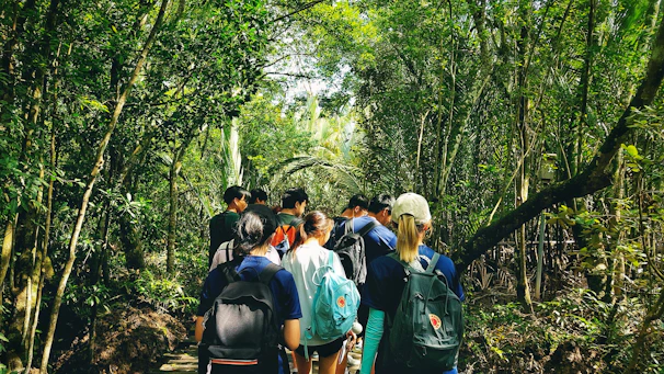 A small group walking along a sunlit forest path in Provence, animatedly discussing ideas with notebooks in hand.