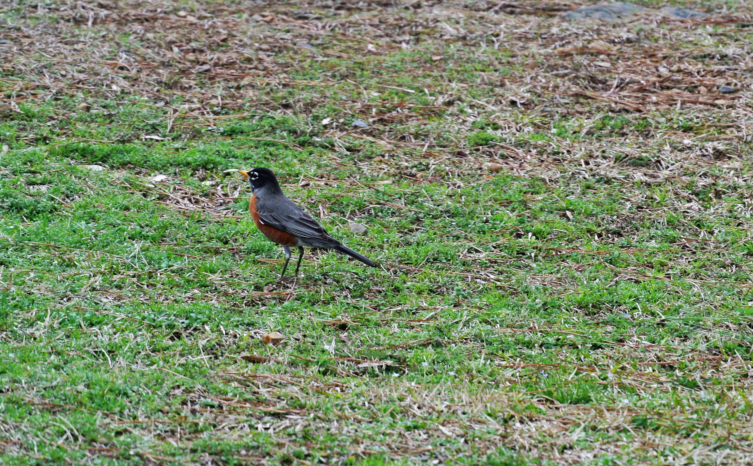 Photo by arkansas007