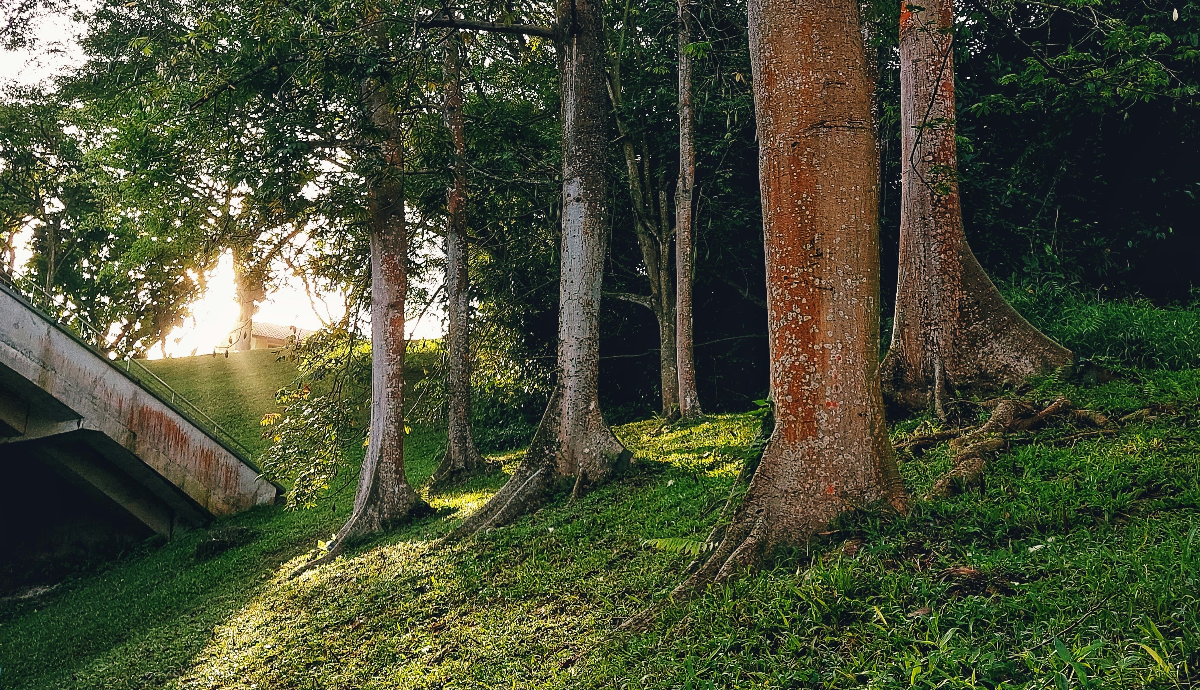 Photo by joylynn_goh