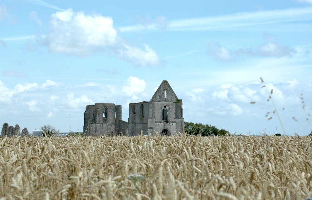 um campo de trigo com uma igreja no fundo