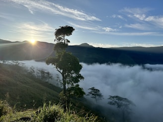 the sun shines through the clouds in the mountains
