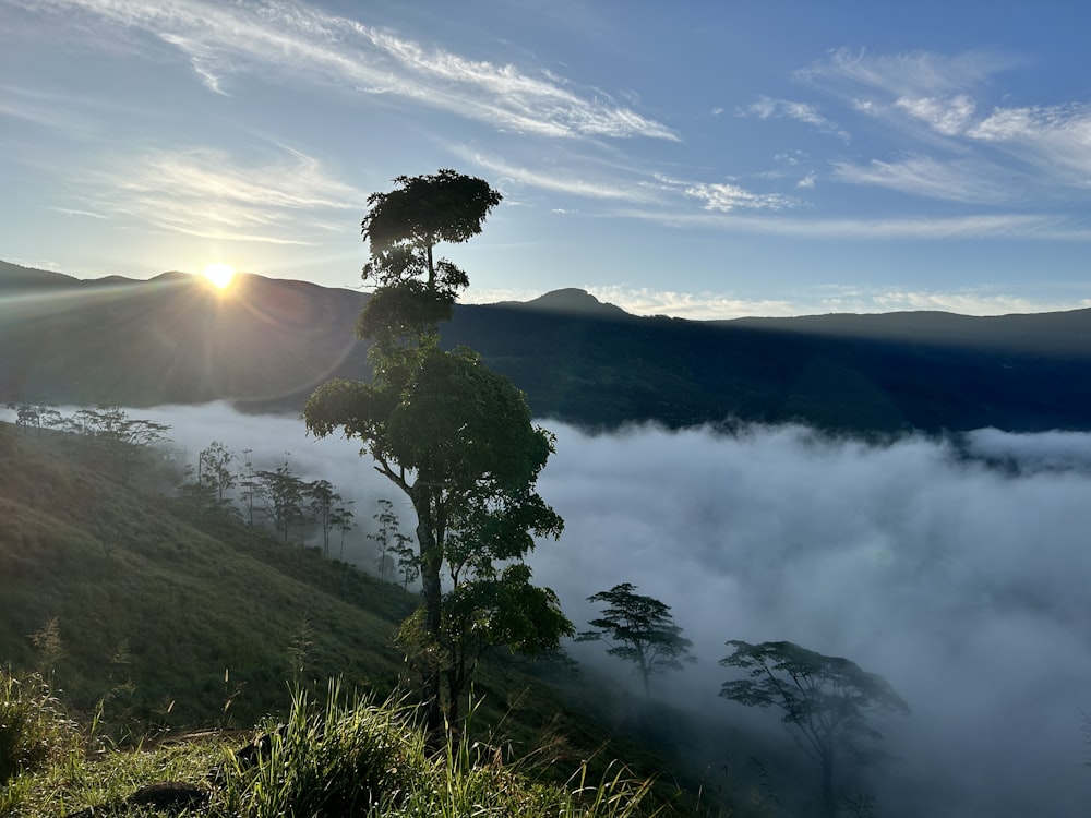 the sun shines through the clouds in the mountains