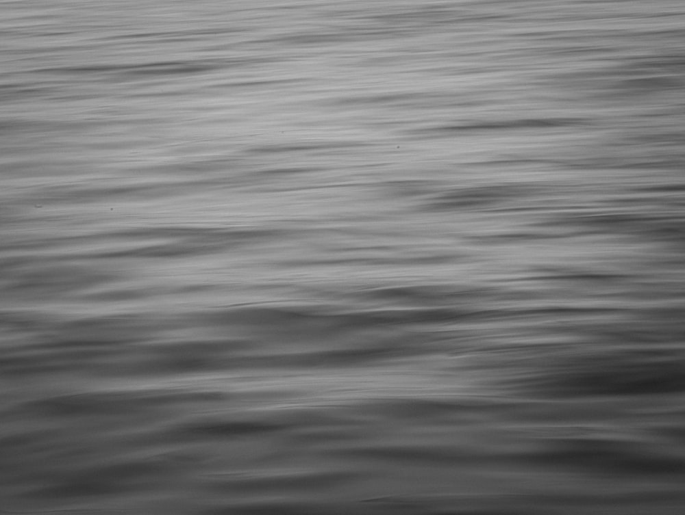 a black and white photo of a body of water