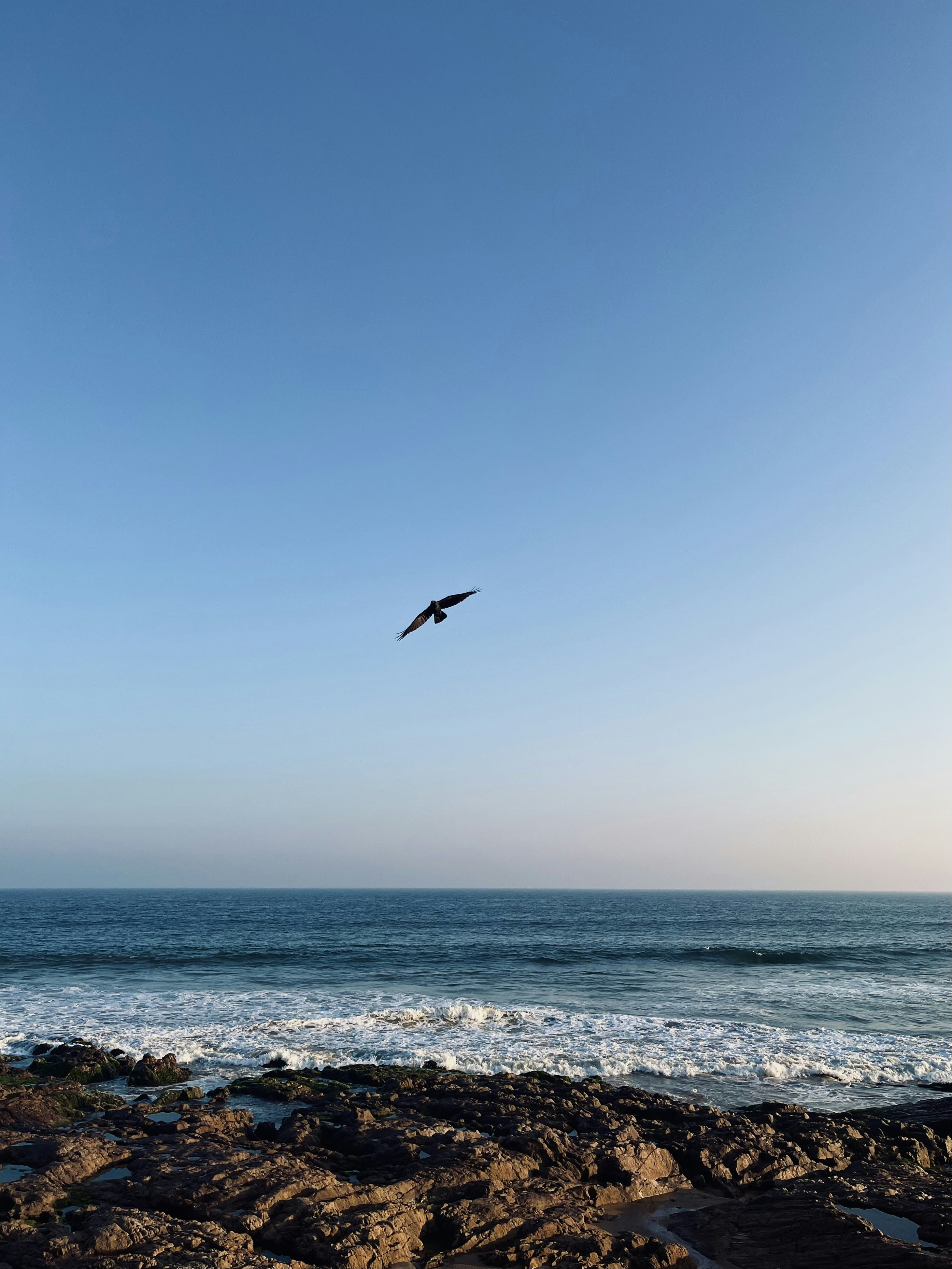 Photo by vamsikumar7