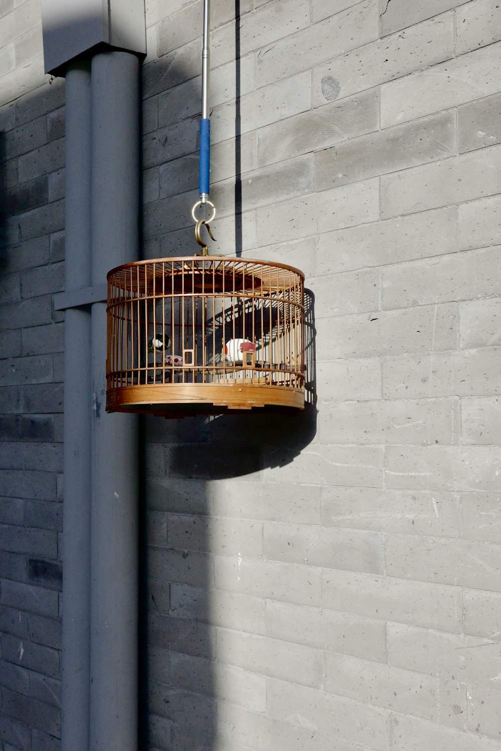 a bird cage hanging from the side of a building