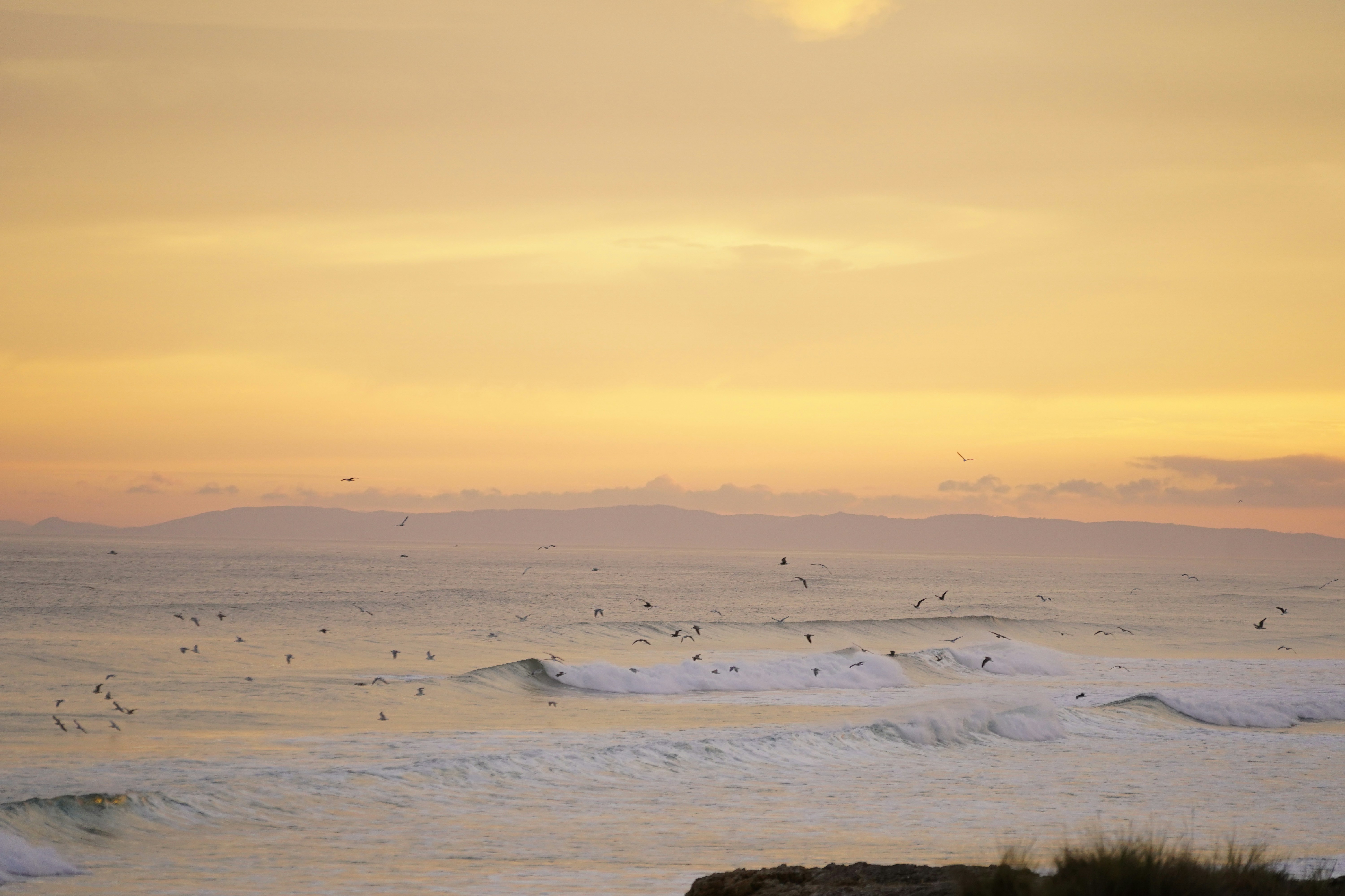 Photo by tinorischawy