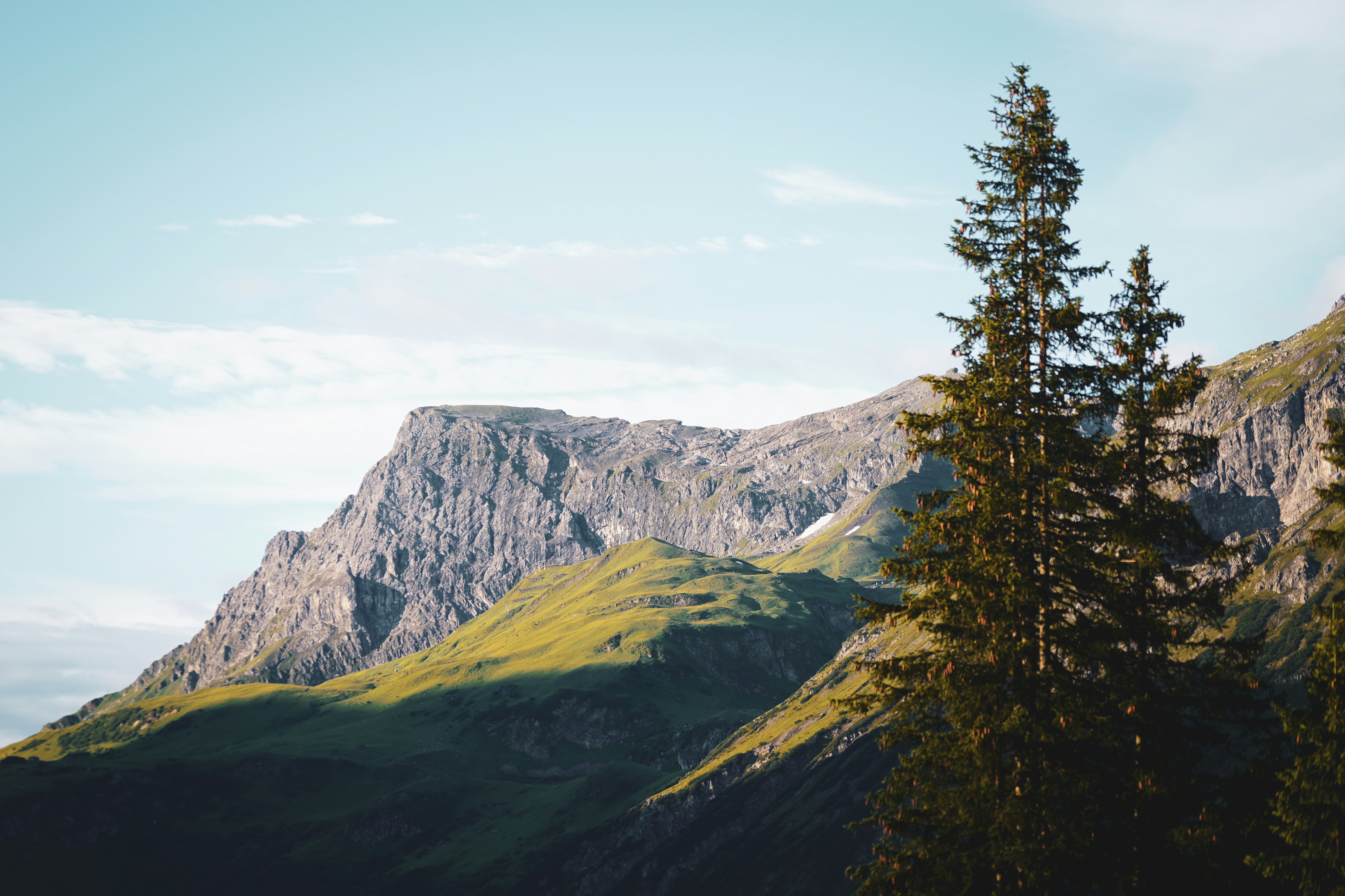 Photo by tinorischawy