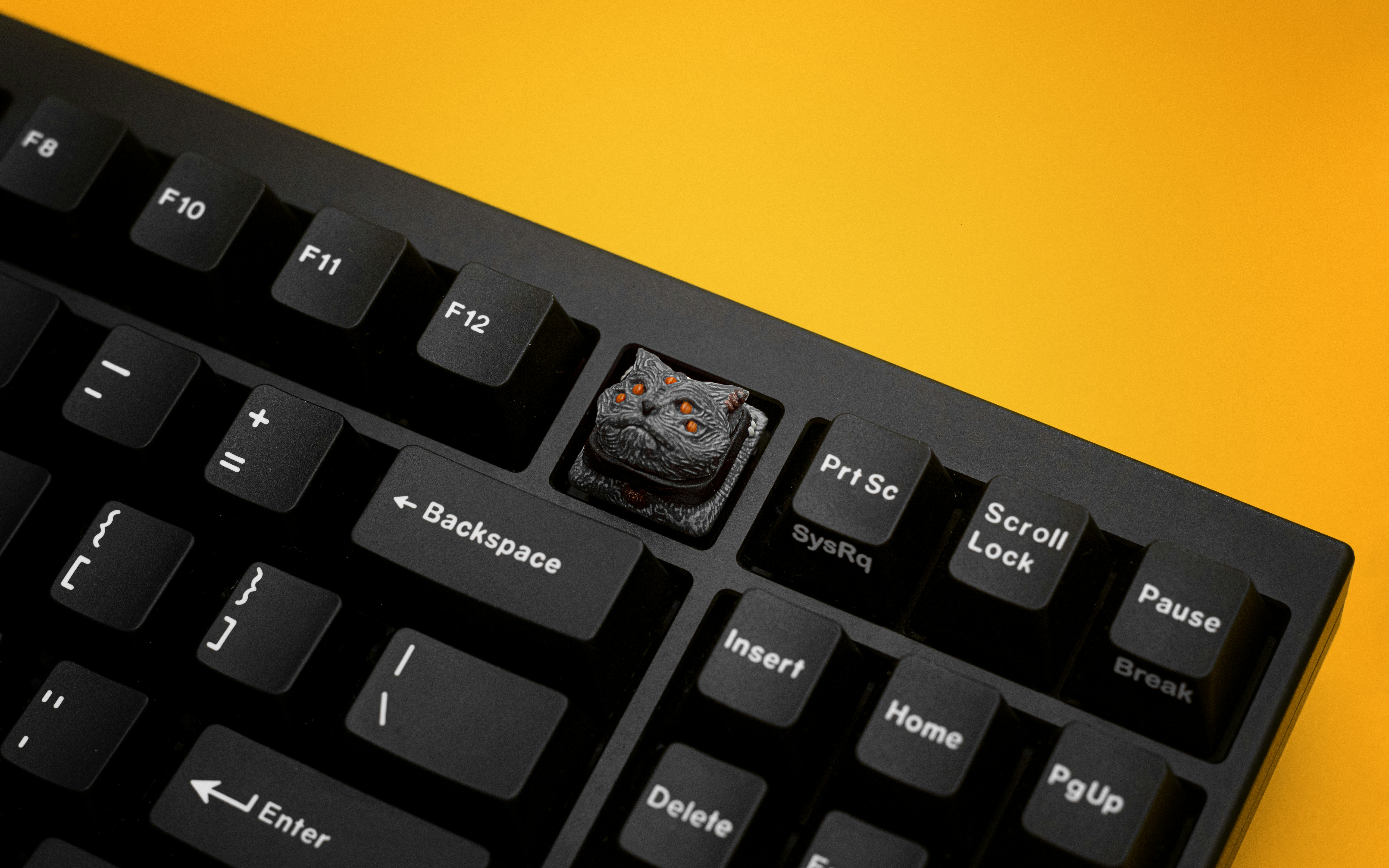 The Perfect Cute Cat Keyboard and Mouse Combo for Your Laptop