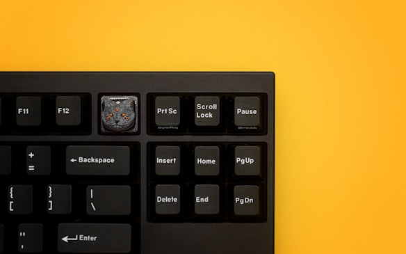 A section of a black computer keyboard is placed against a bright yellow background. The keys are neatly arranged, with distinct labels such as F11, F12, Prt Sc, Scroll Lock, and others. One key has a decorative cap depicting a cat face with orange eyes.