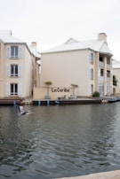 A waterfront building with beige exteriors and white shuttered windows stands adjacent to a calm water body. A seagull is in flight over the water, and there are potted plants near the building. The building features a sign reading 'La Caribe' and has balconies overlooking the water.