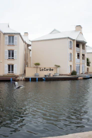 A waterfront building with beige exteriors and white shuttered windows stands adjacent to a calm water body. A seagull is in flight over the water, and there are potted plants near the building. The building features a sign reading 'La Caribe' and has balconies overlooking the water.