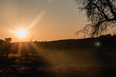 Sunset casts golden light on an empty land parcel.