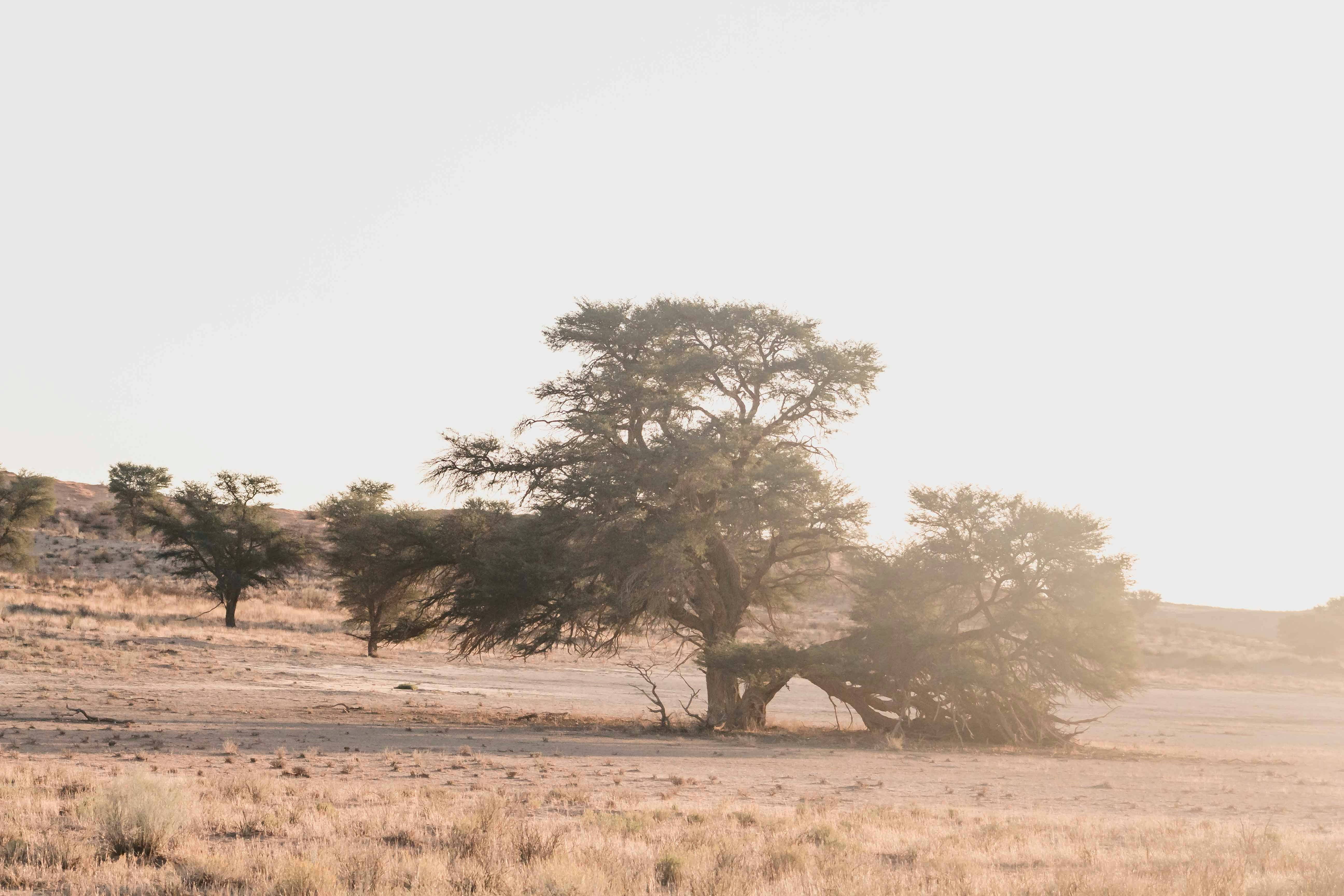 Photo by sincerelymedia