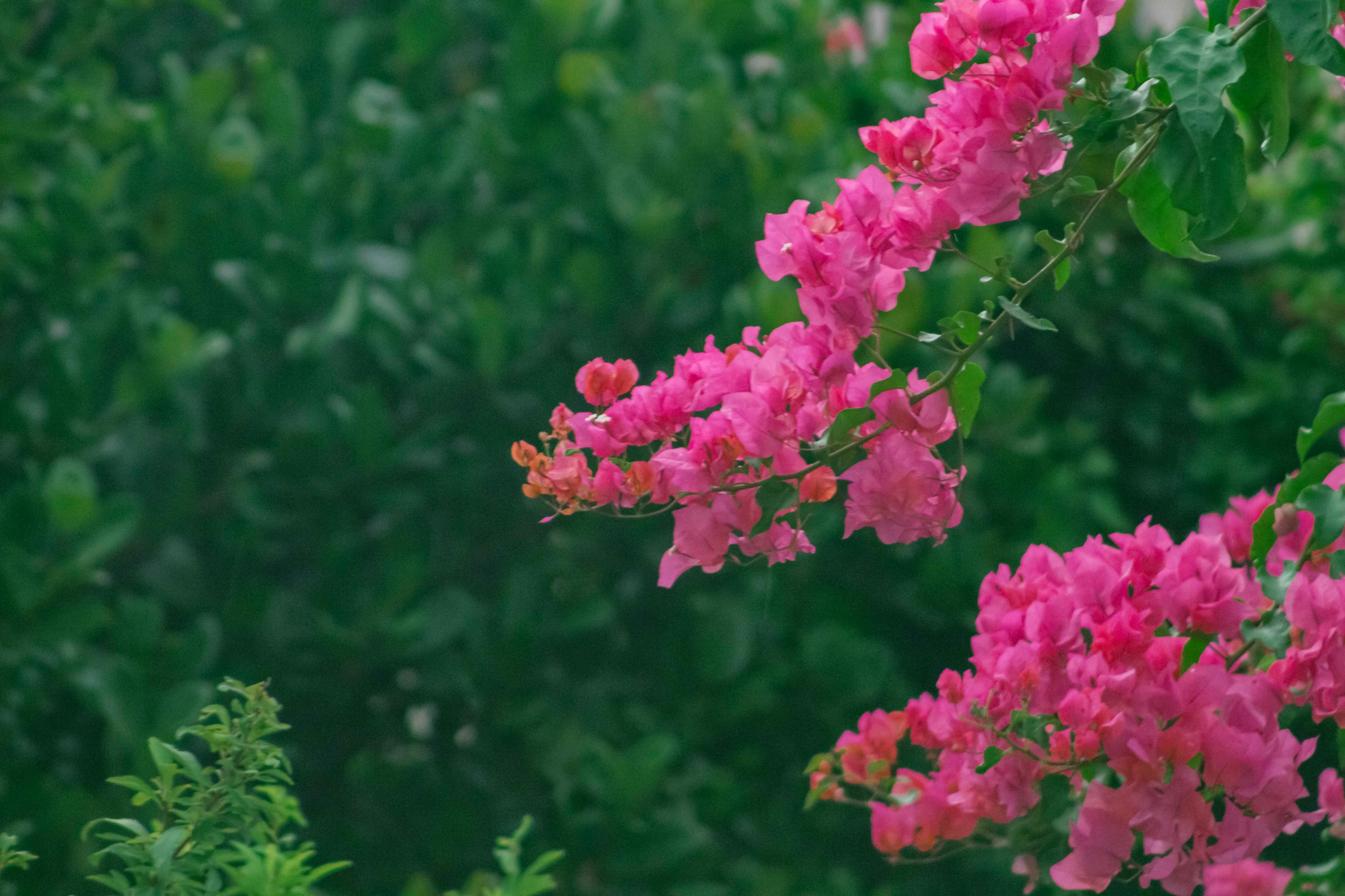 Photo by sincerelymedia