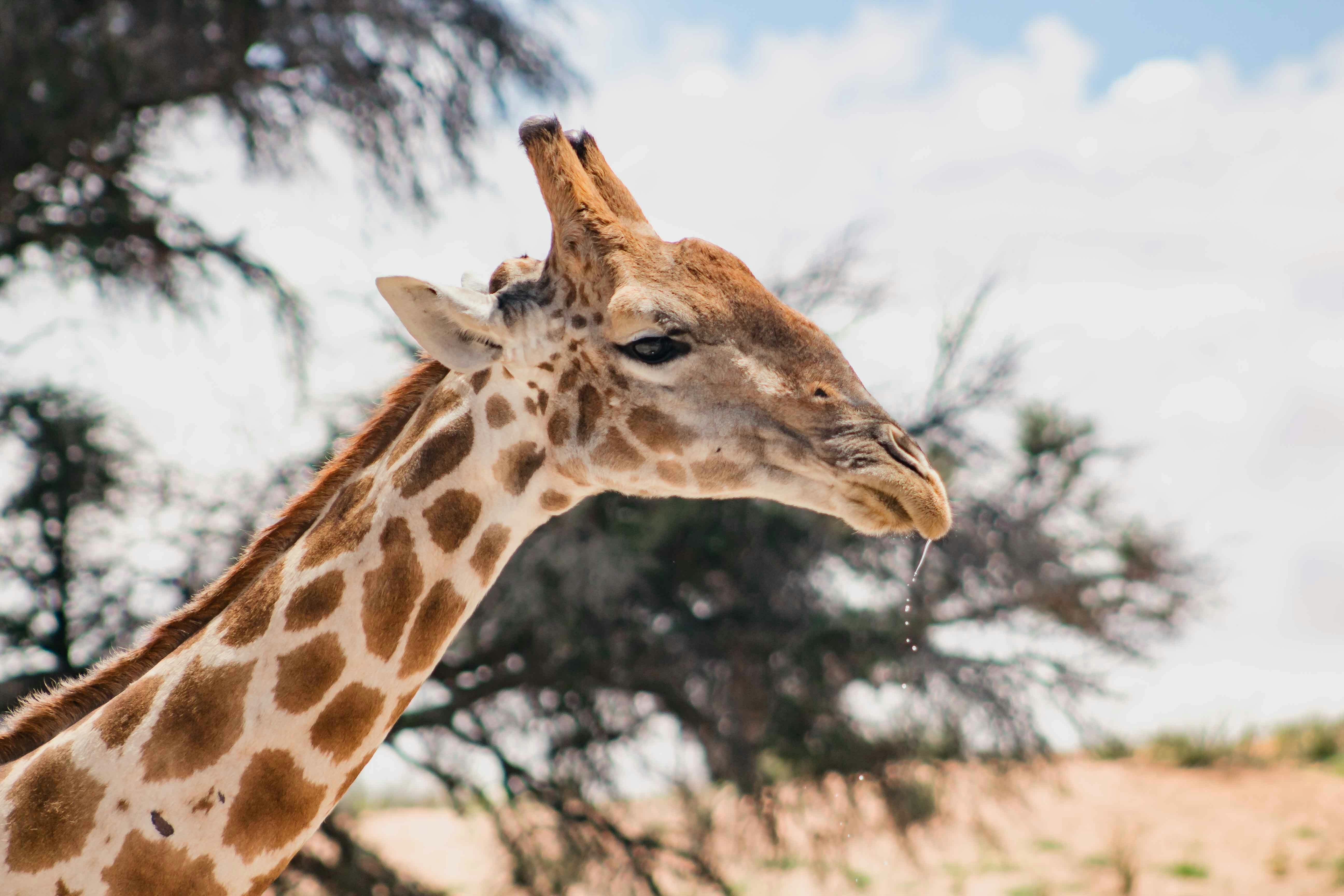 Photo by sincerelymedia