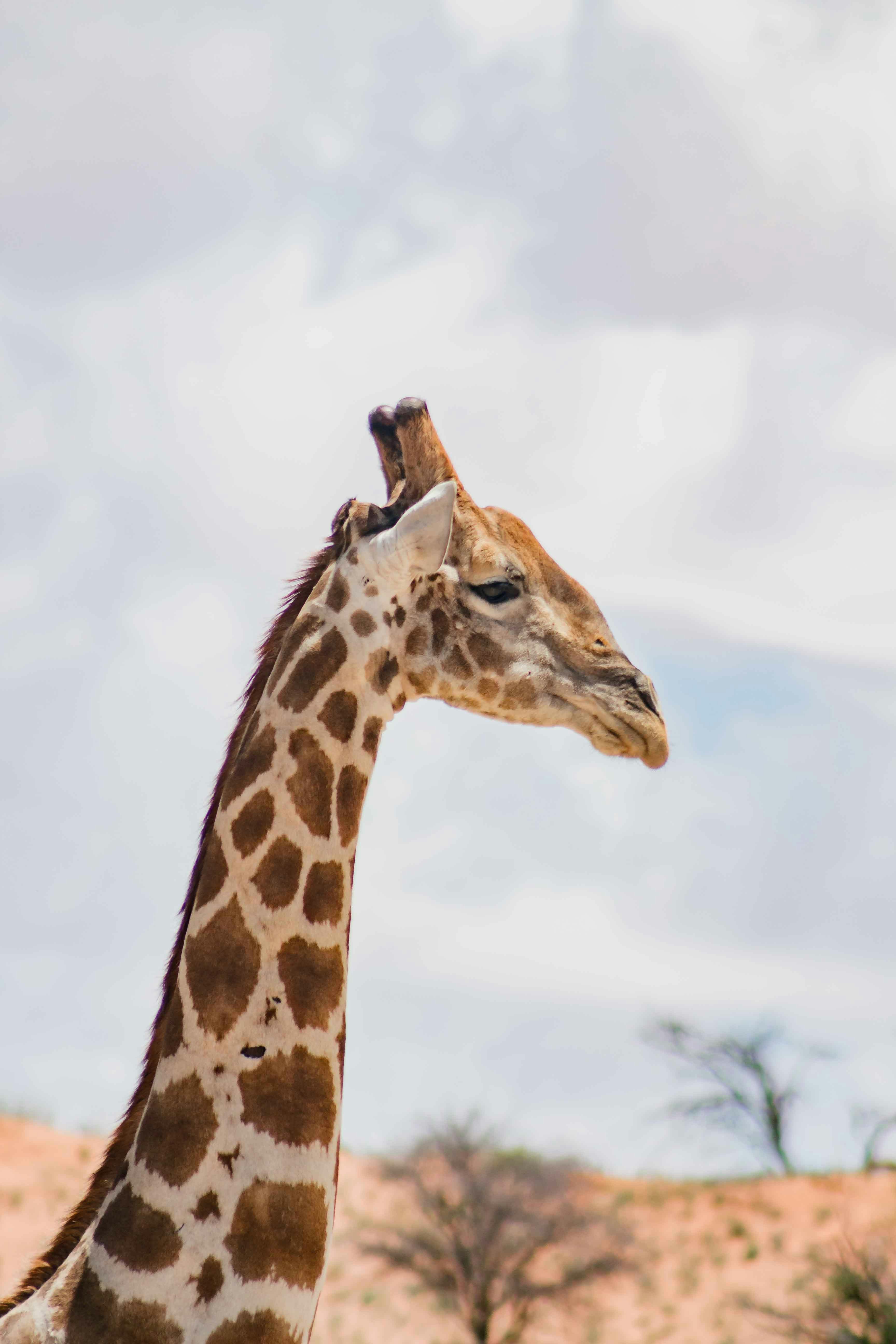 Photo by sincerelymedia