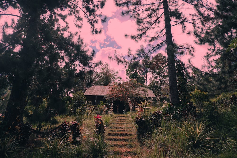 a small house in the middle of a forest