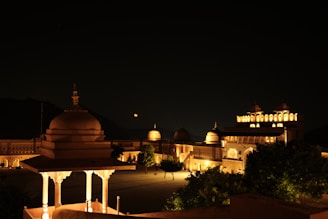 A beautifully illuminated palace at night featuring domes and intricate architectural details. The structure is surrounded by trees and the sky is dark, with a glowing moon visible in the background, enhancing the serene and majestic ambiance.