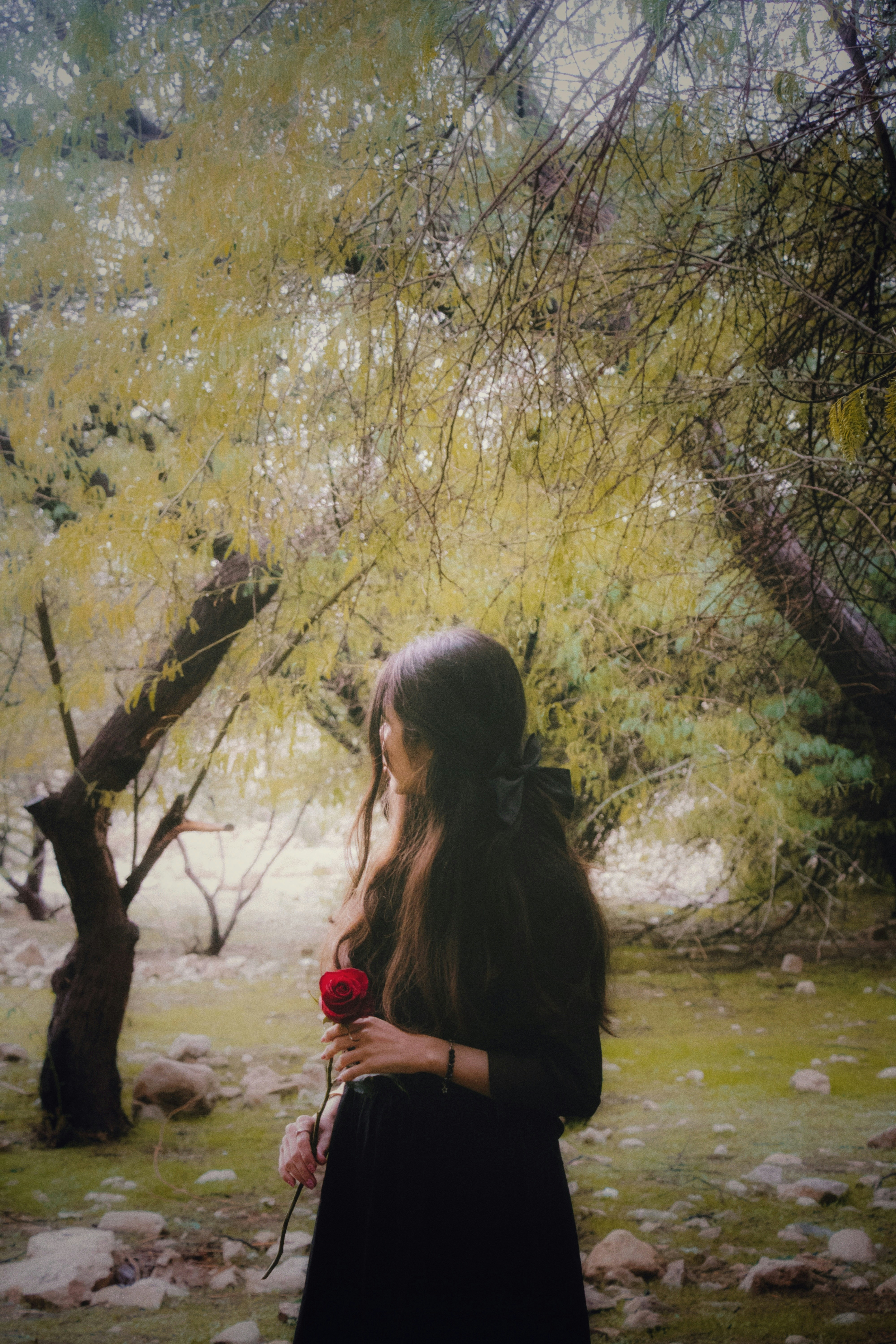 Photo by nasrinpakari