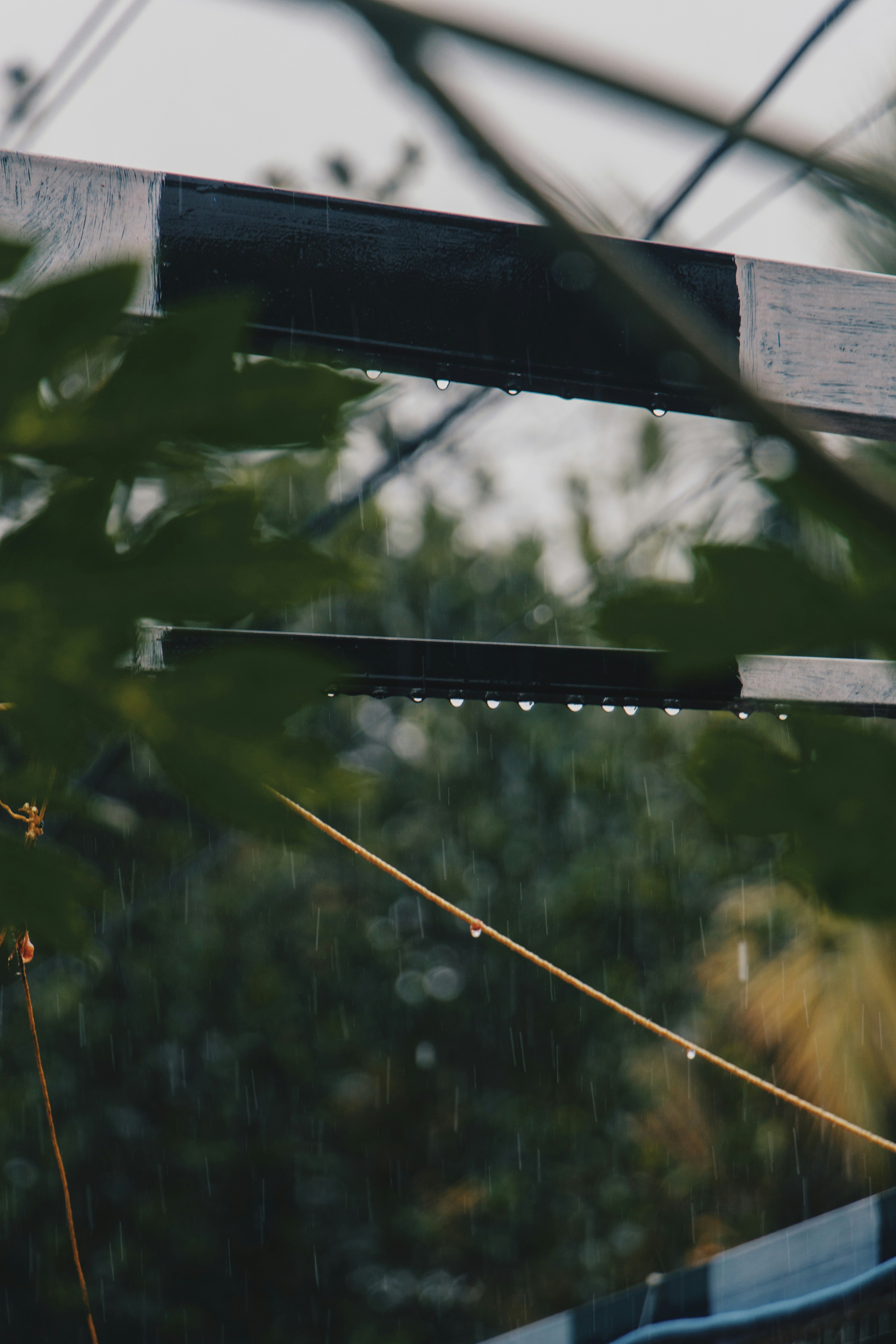 Photo by francos_chapter