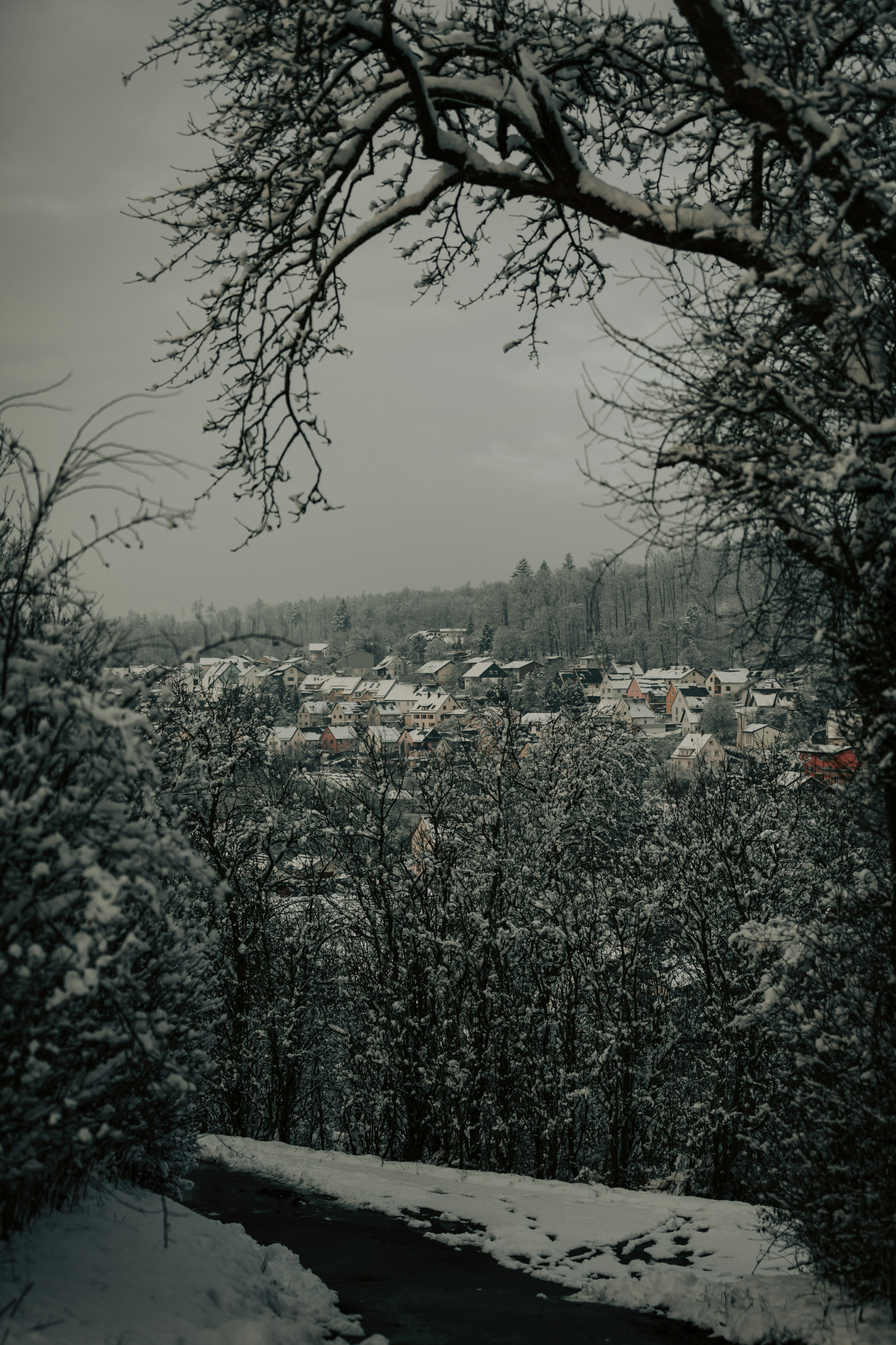 Photo by egon78