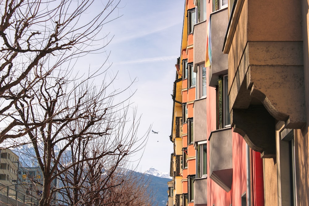 a tall building next to a tree with no leaves