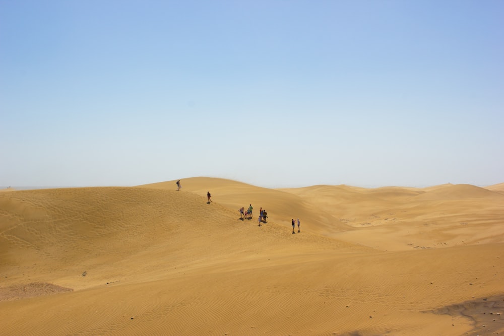 a group of people walking across a desert