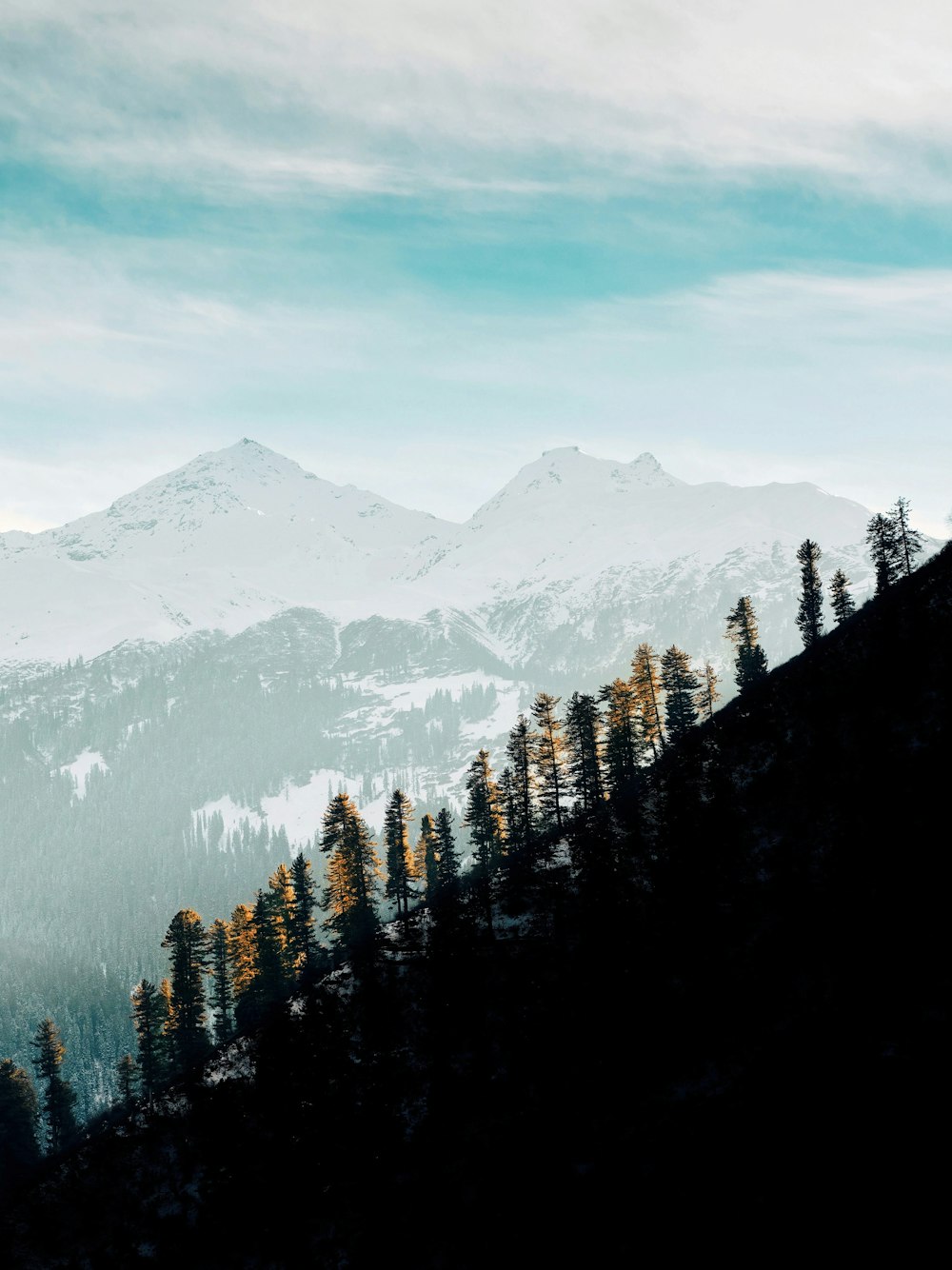 a view of a mountain range with trees in the foreground