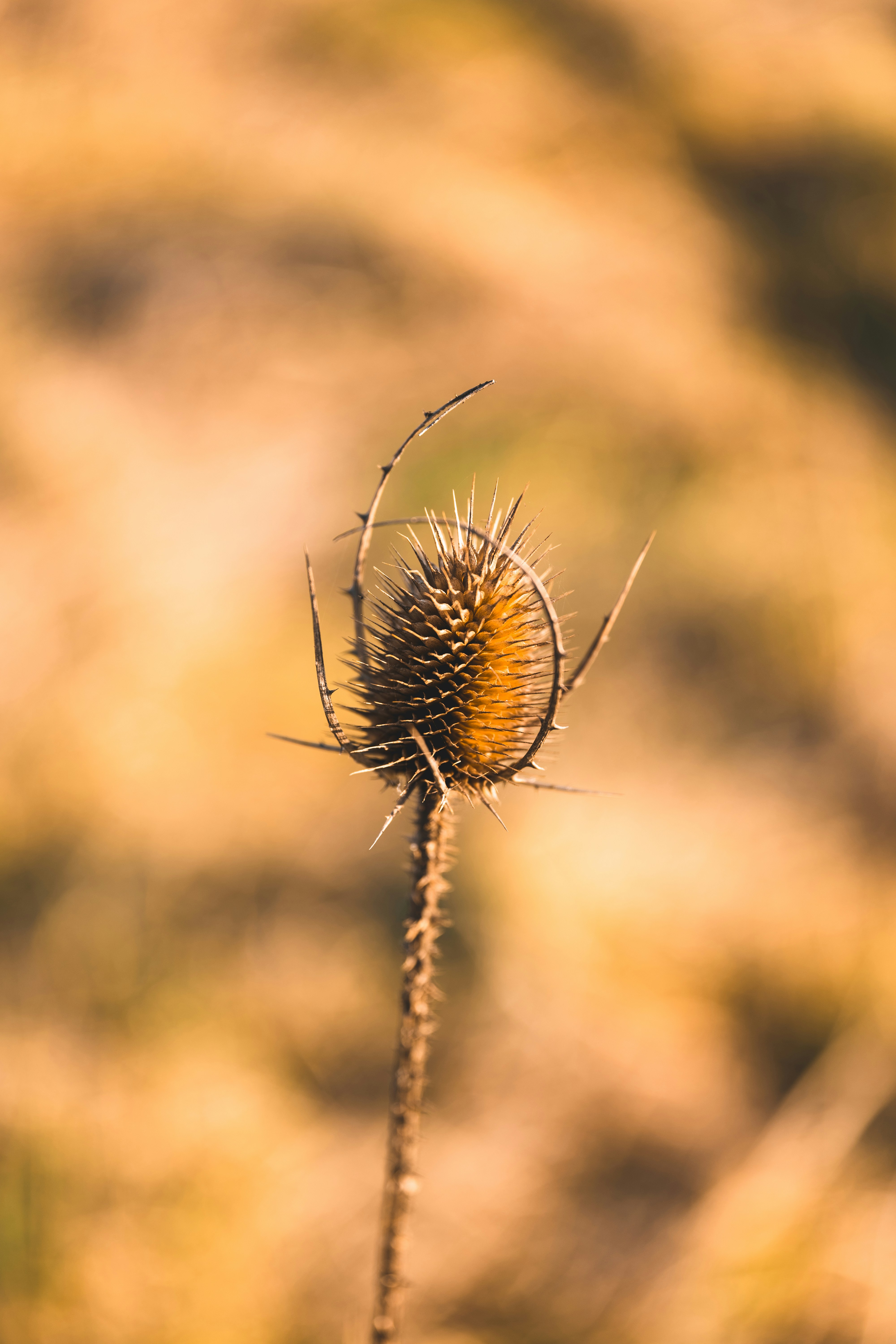 Photo by filipsteficar