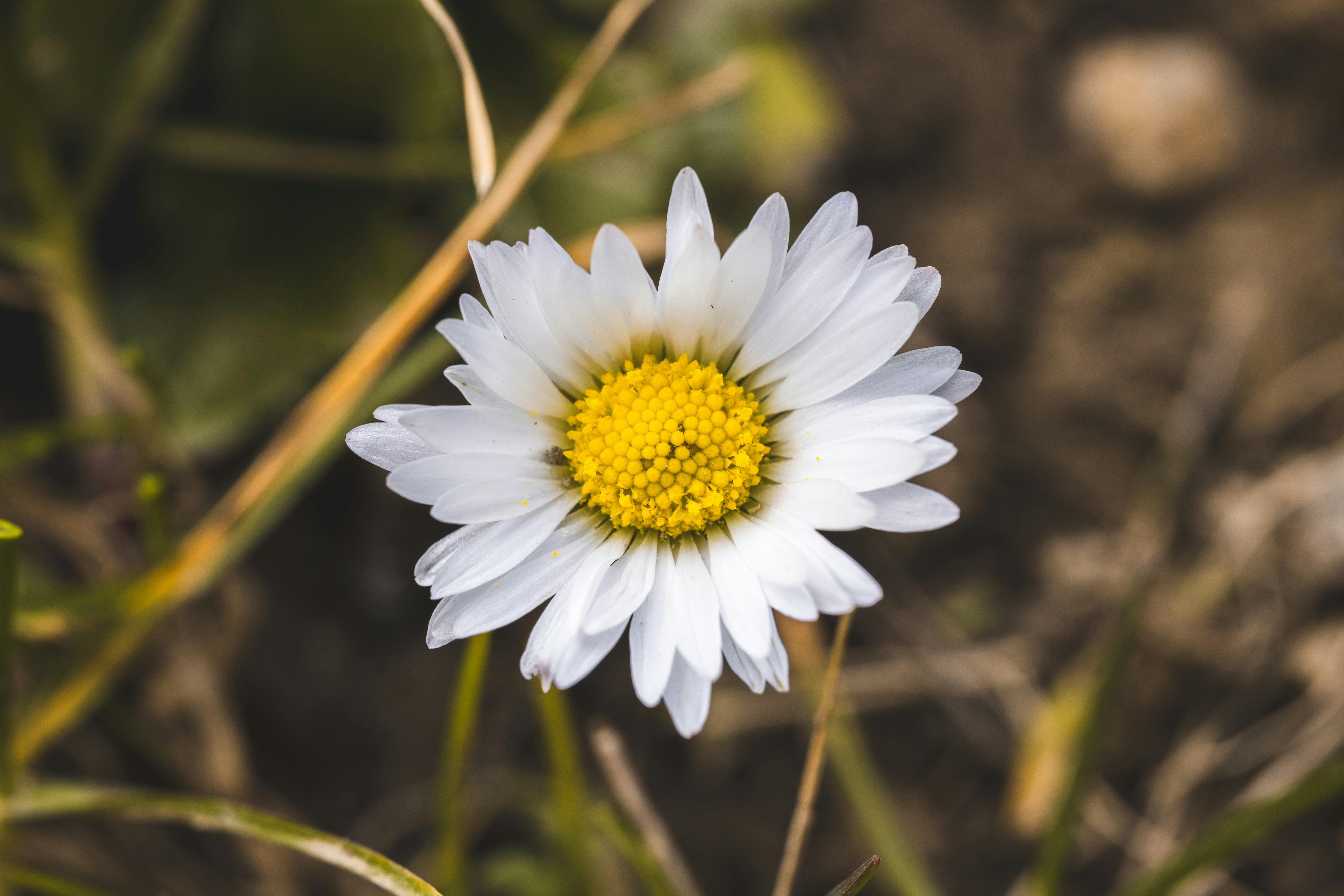 Photo by filipsteficar