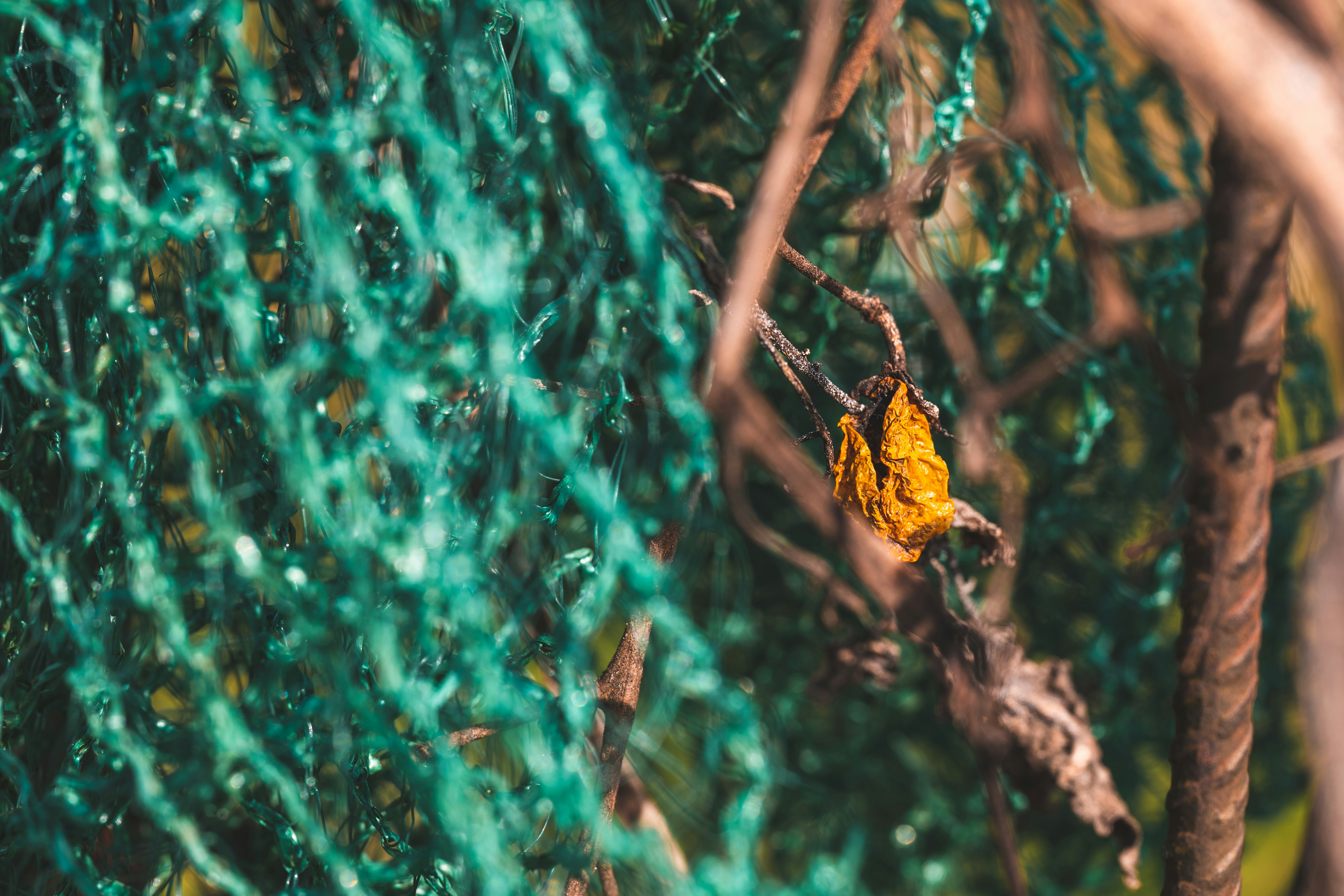 Photo by filipsteficar