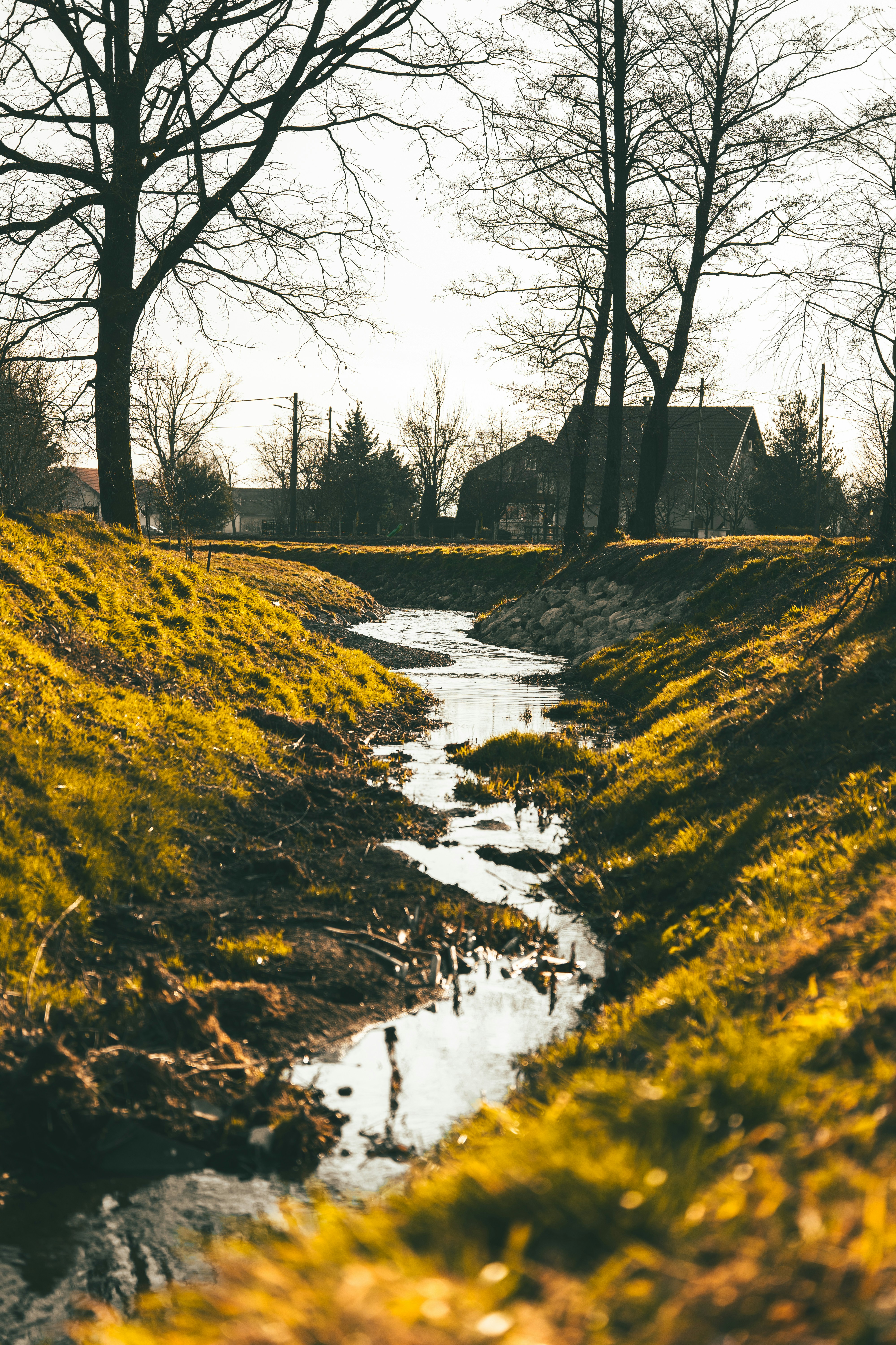 Photo by filipsteficar