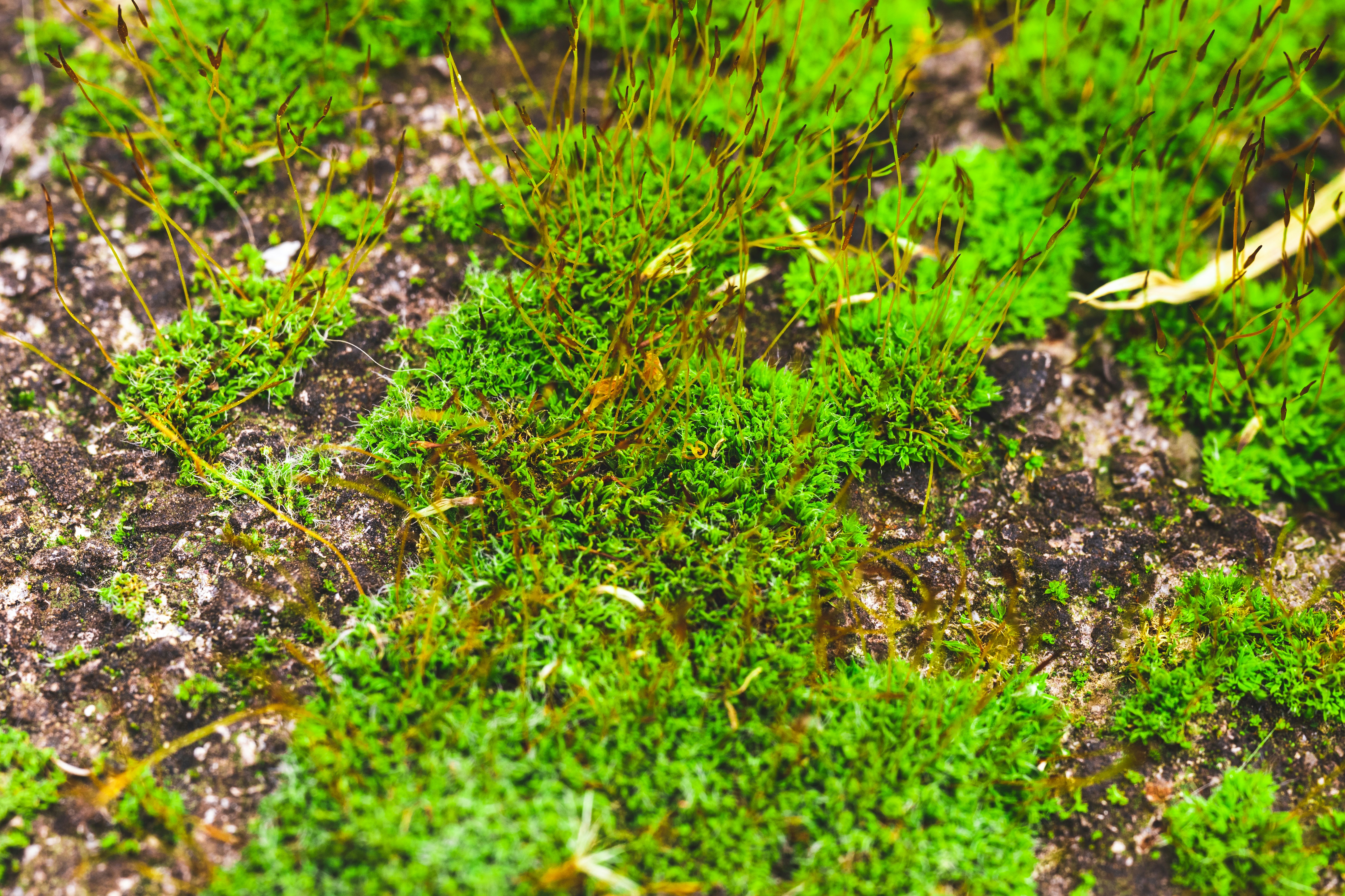 Photo by filipsteficar