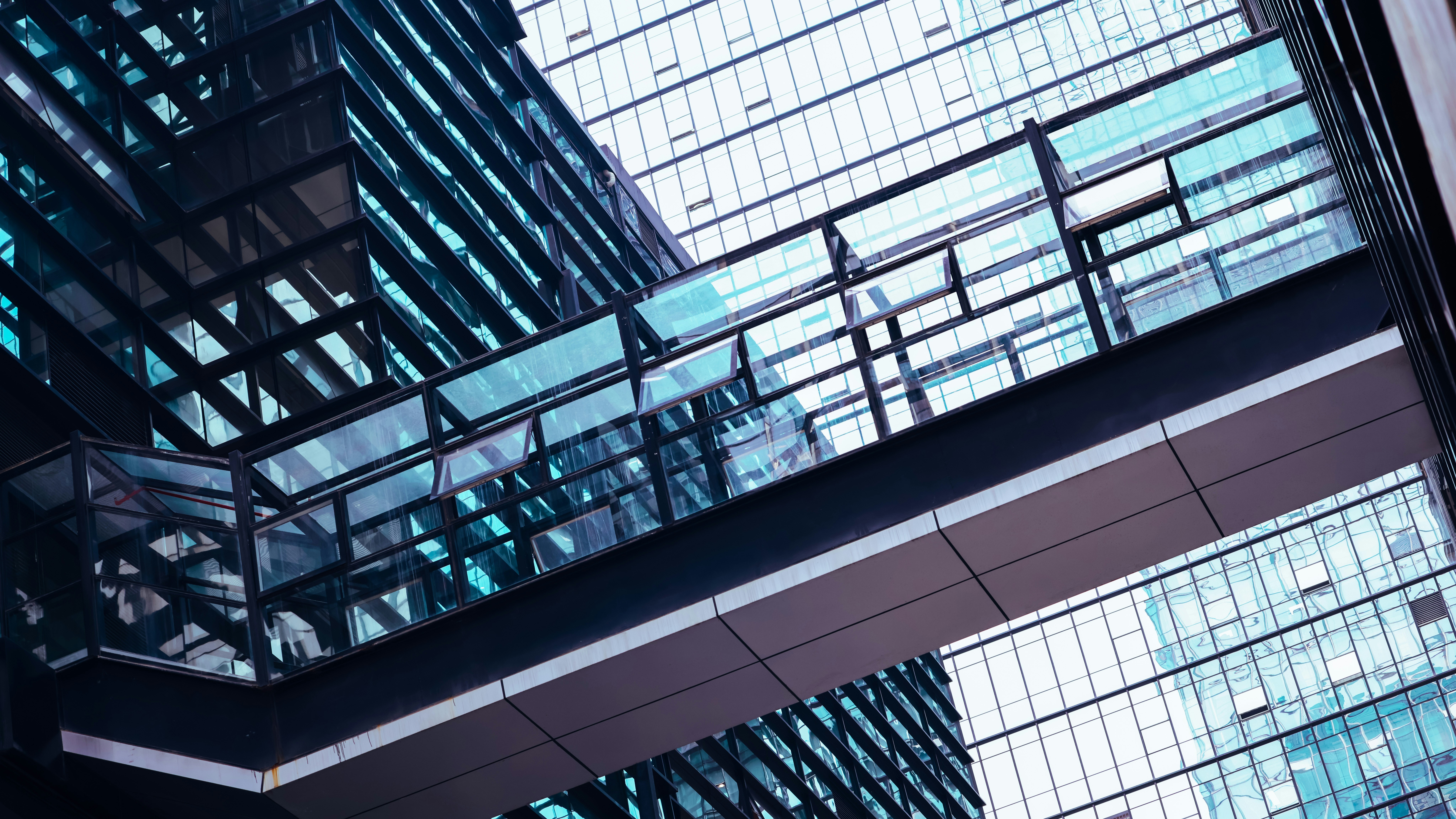 Photo by dickenslin76