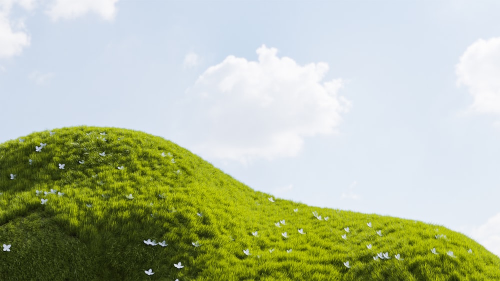 a green hill with birds flying over it