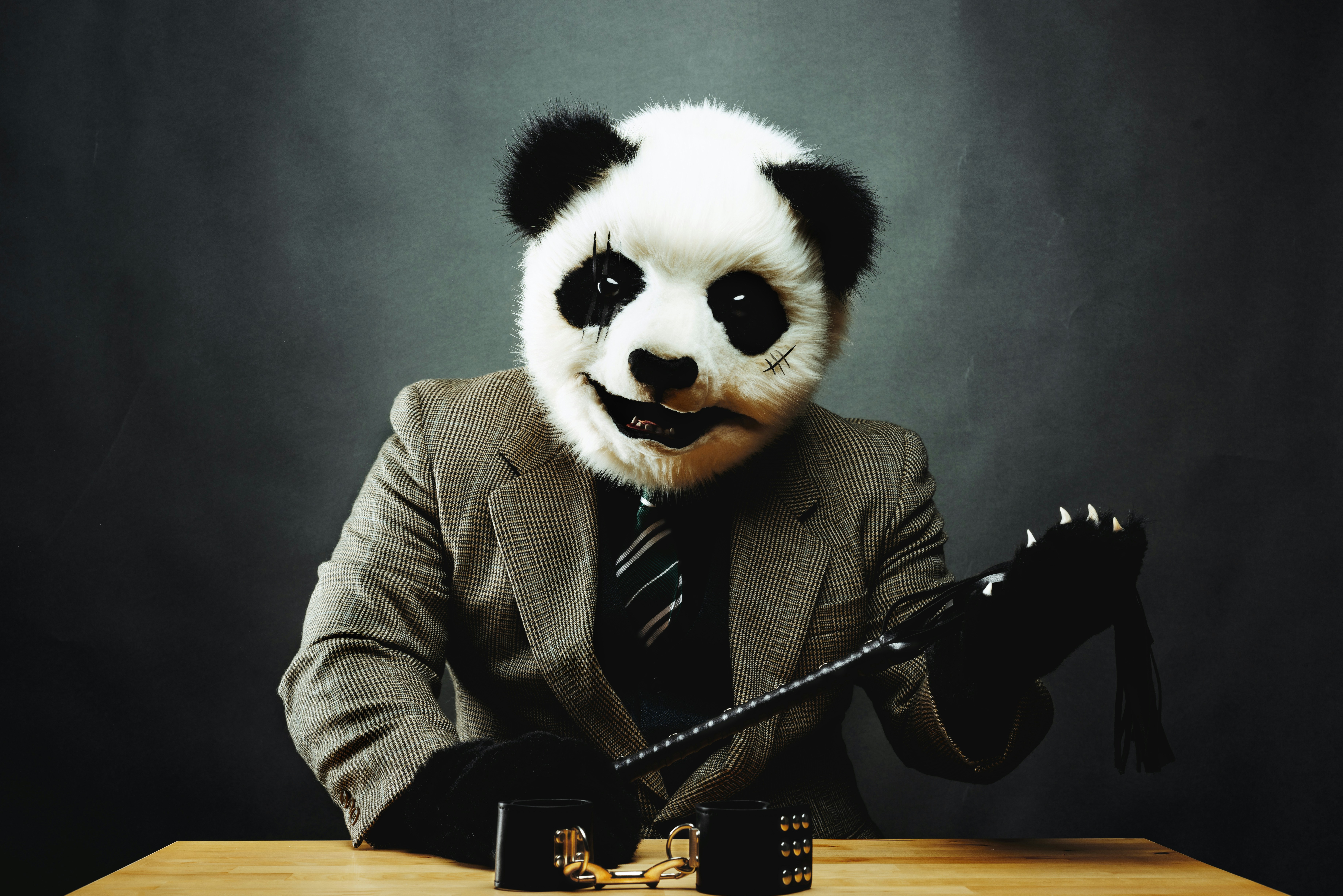 a panda bear dressed in a suit and tie