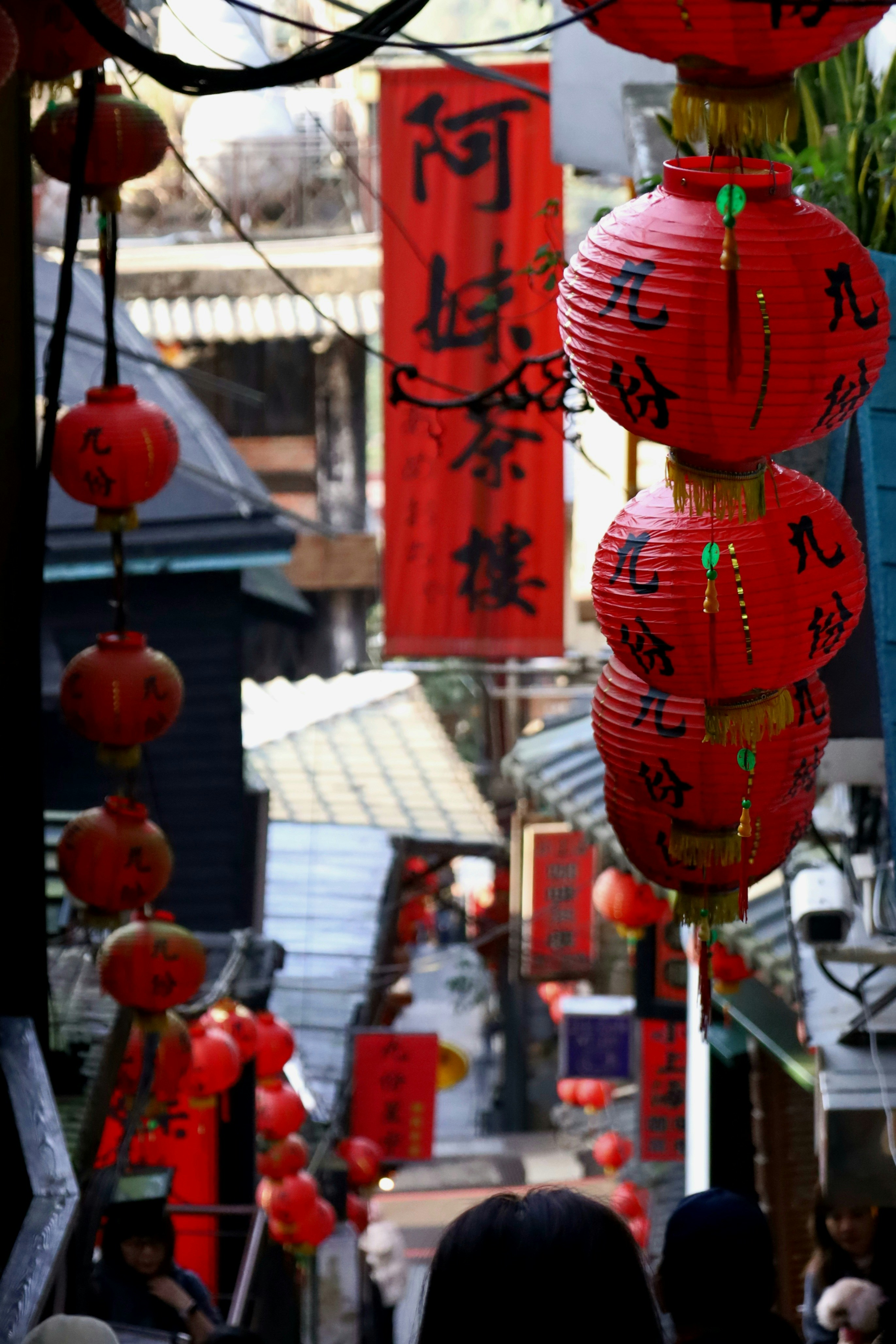 Photo by yoyocameraworld