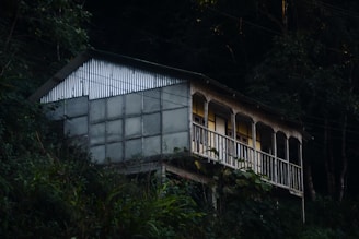 A small, rustic cabin is perched on a hillside surrounded by dense forest. The cabin features a corrugated metal roof and a side wall made of translucent panels. A row of windows, framed by decorative columns, faces outward from the porch area.