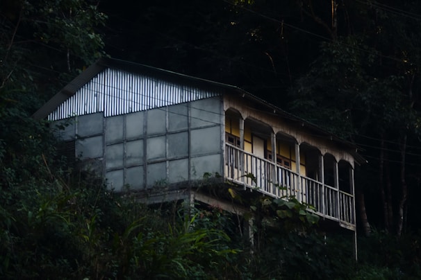 A small, rustic cabin is perched on a hillside surrounded by dense forest. The cabin features a corrugated metal roof and a side wall made of translucent panels. A row of windows, framed by decorative columns, faces outward from the porch area.