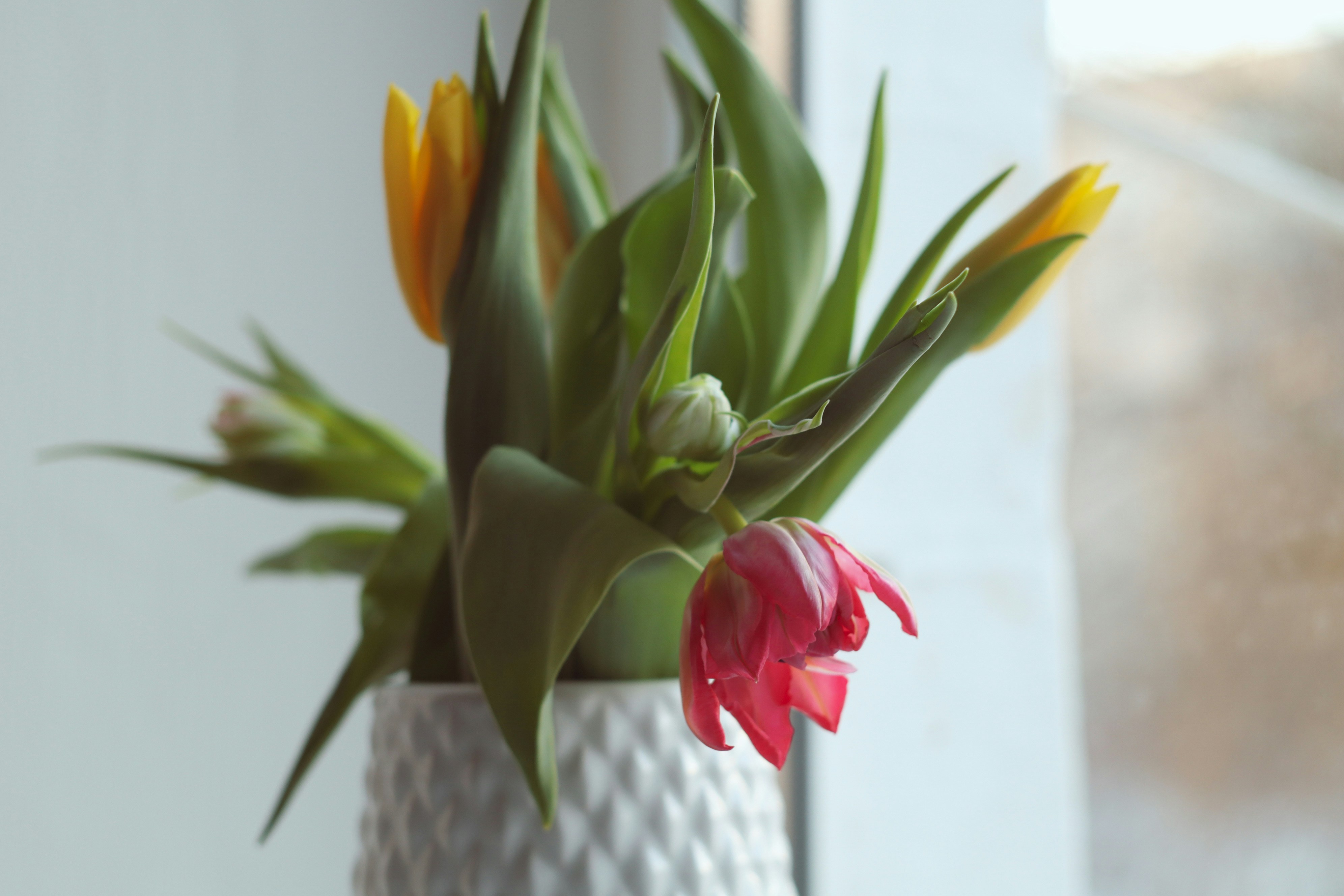 Photo by feeling_hope