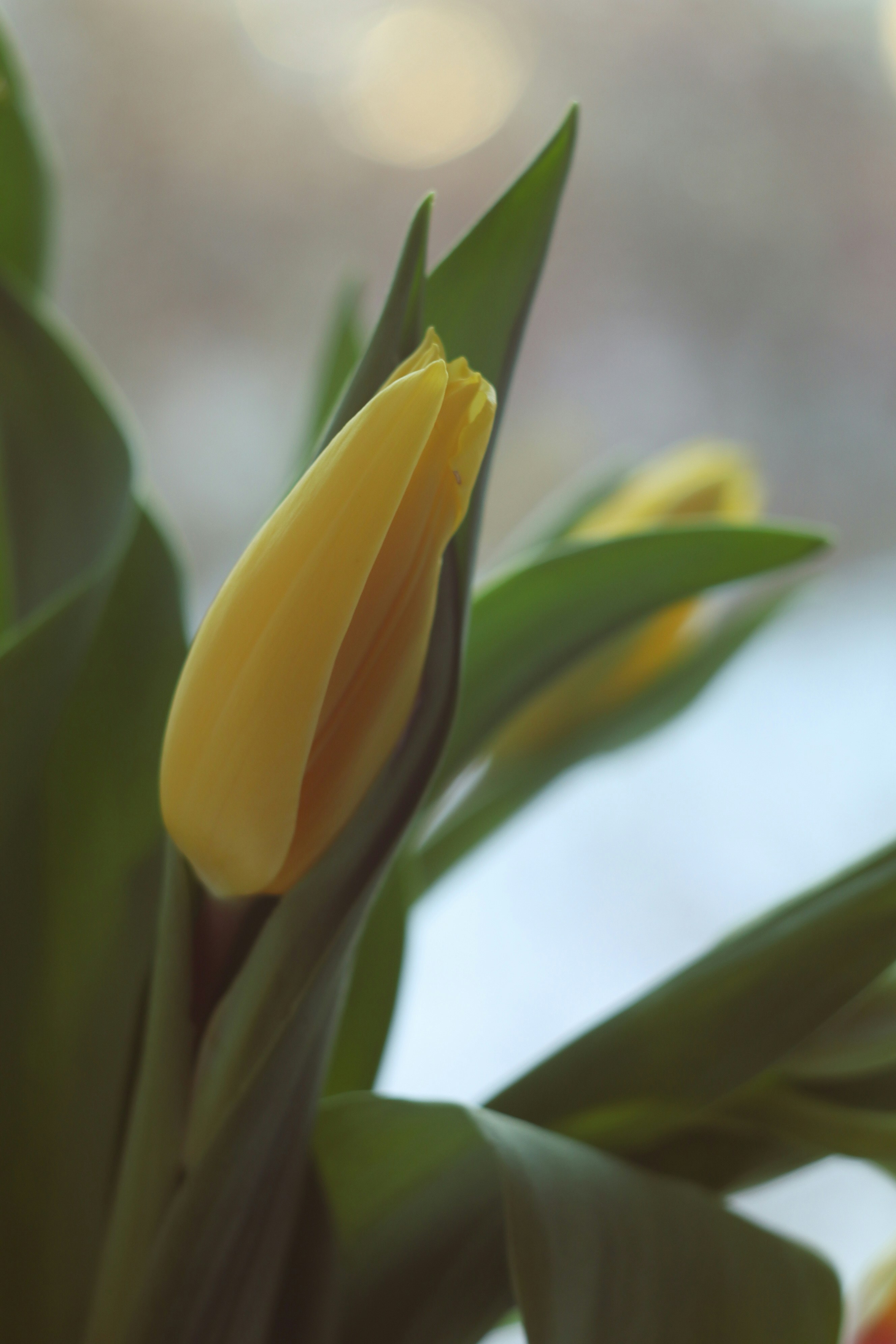 Photo by feeling_hope