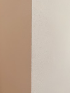 A close-up of freshly painted walls in a bright, airy room.