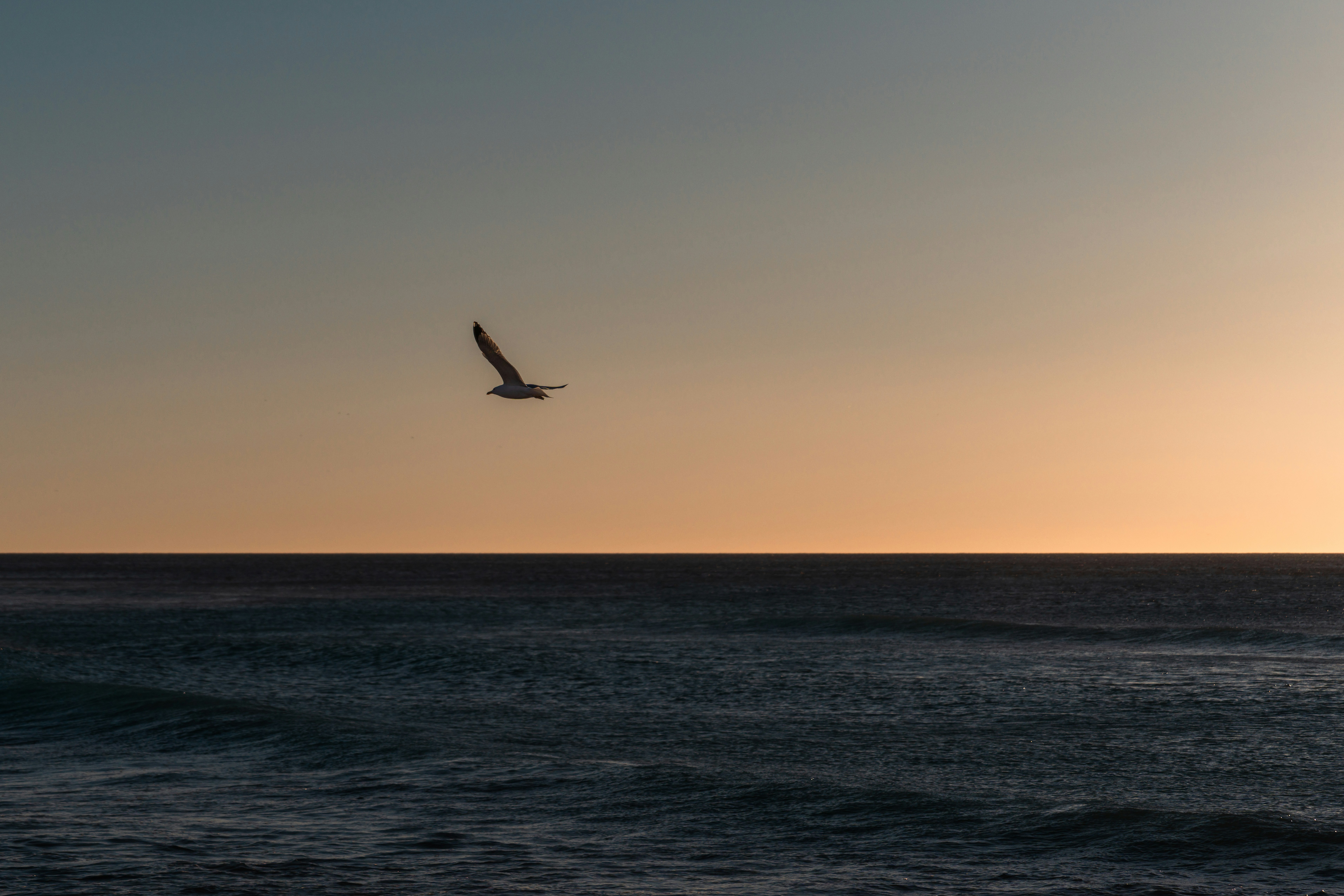 Photo by theemanofoth