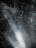 An old, rusty ladder descends into a dark, enclosed space with thick, mysterious mist swirling around. The environment appears damp and foreboding, suggesting an industrial or underground setting.