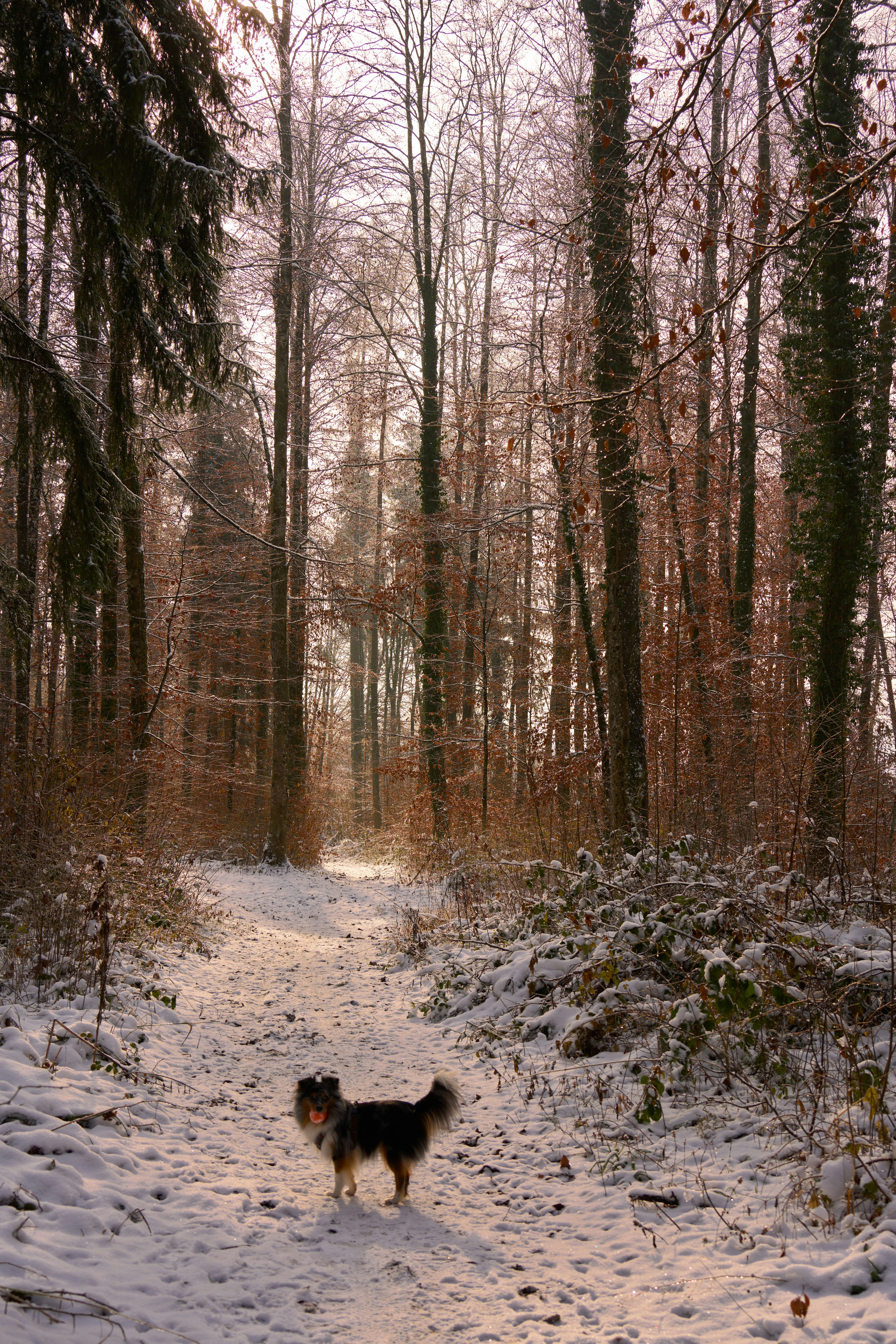 Photo by wolfgang_hasselmann