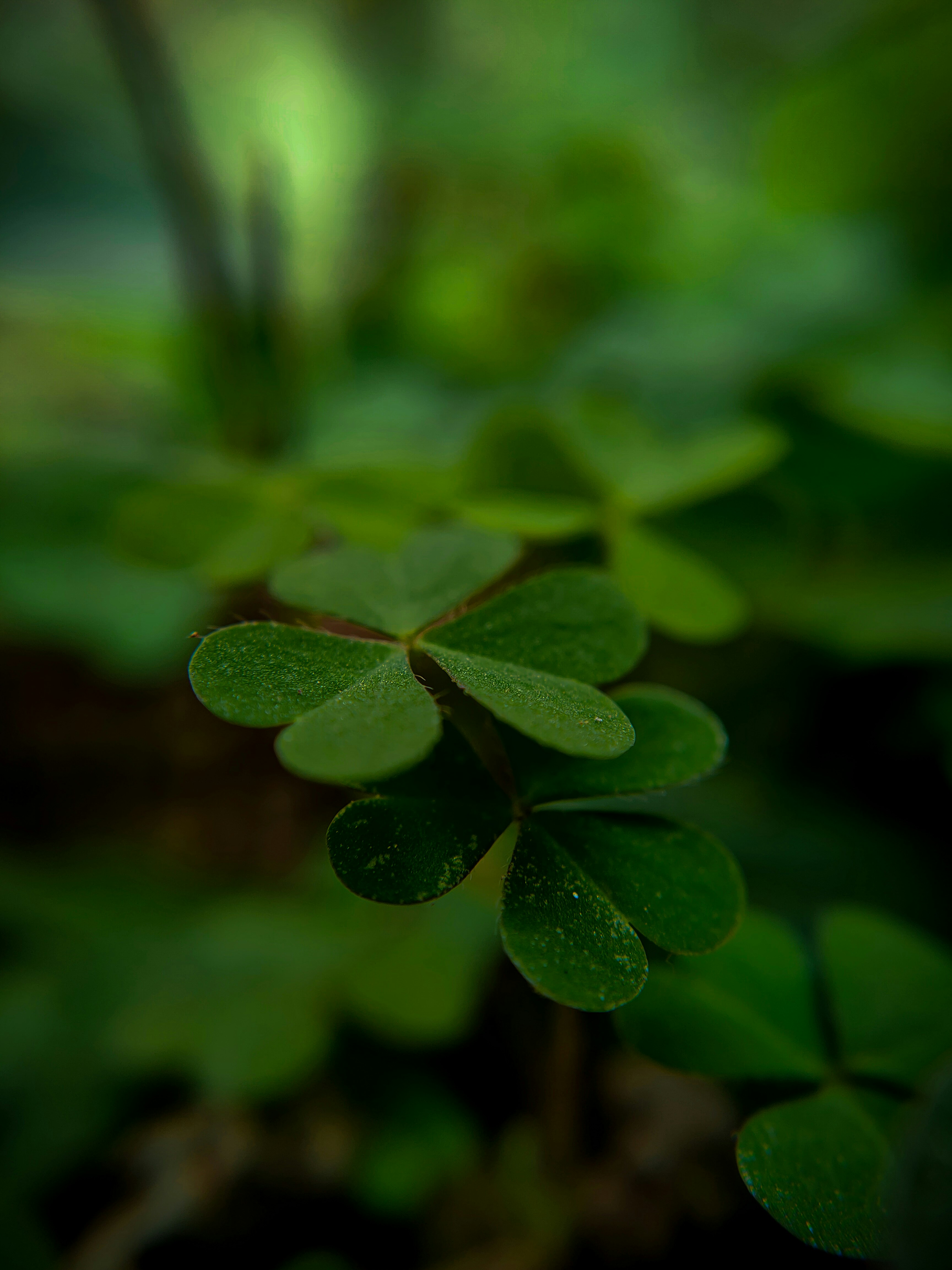 Photo by sujaypaulsp