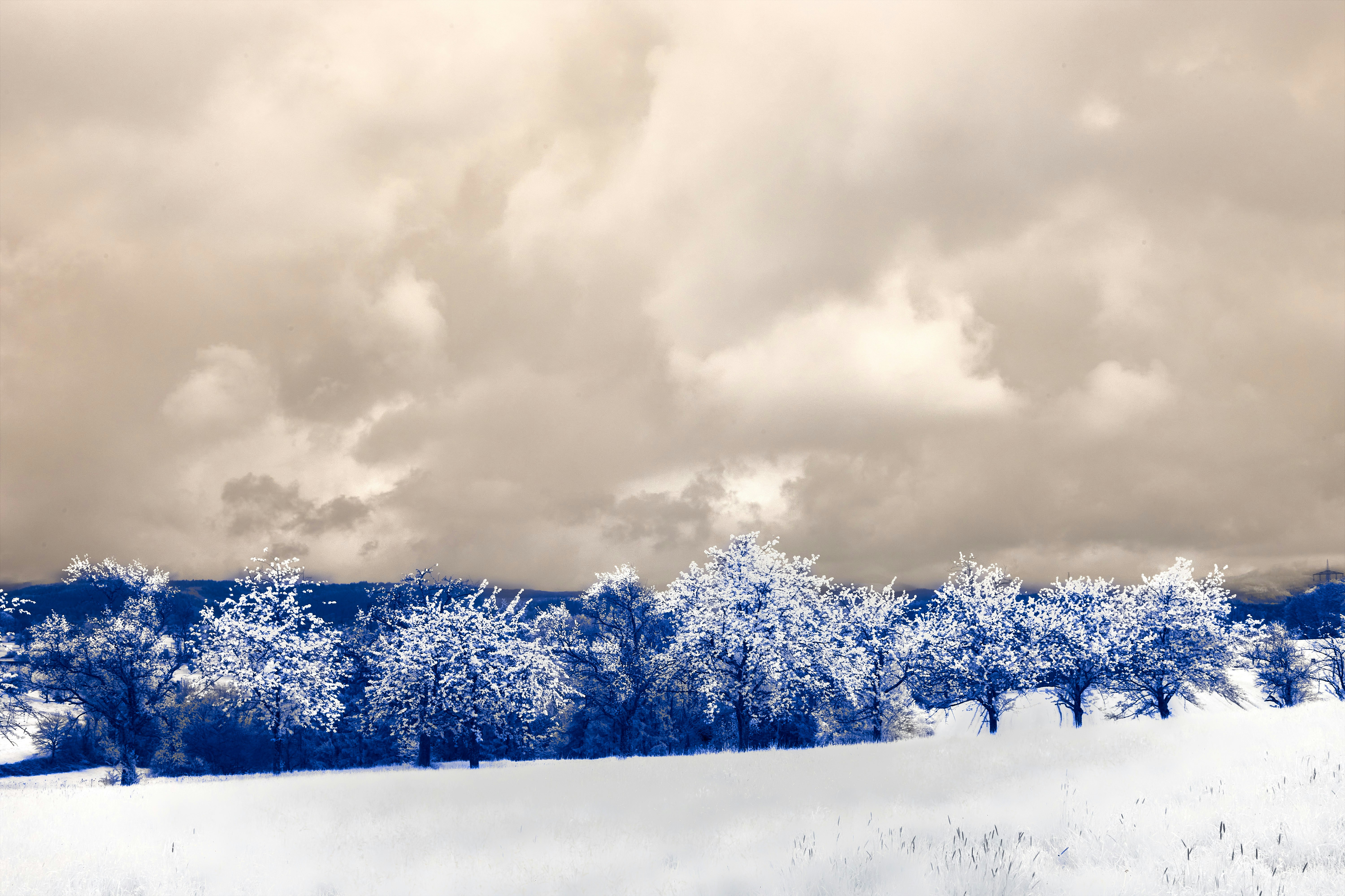 Photo by wolfgang_hasselmann