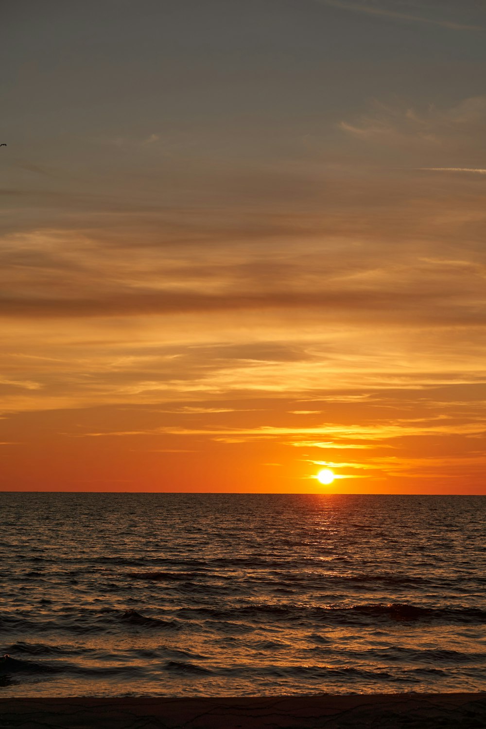 a sunset over the ocean with a plane flying in the sky