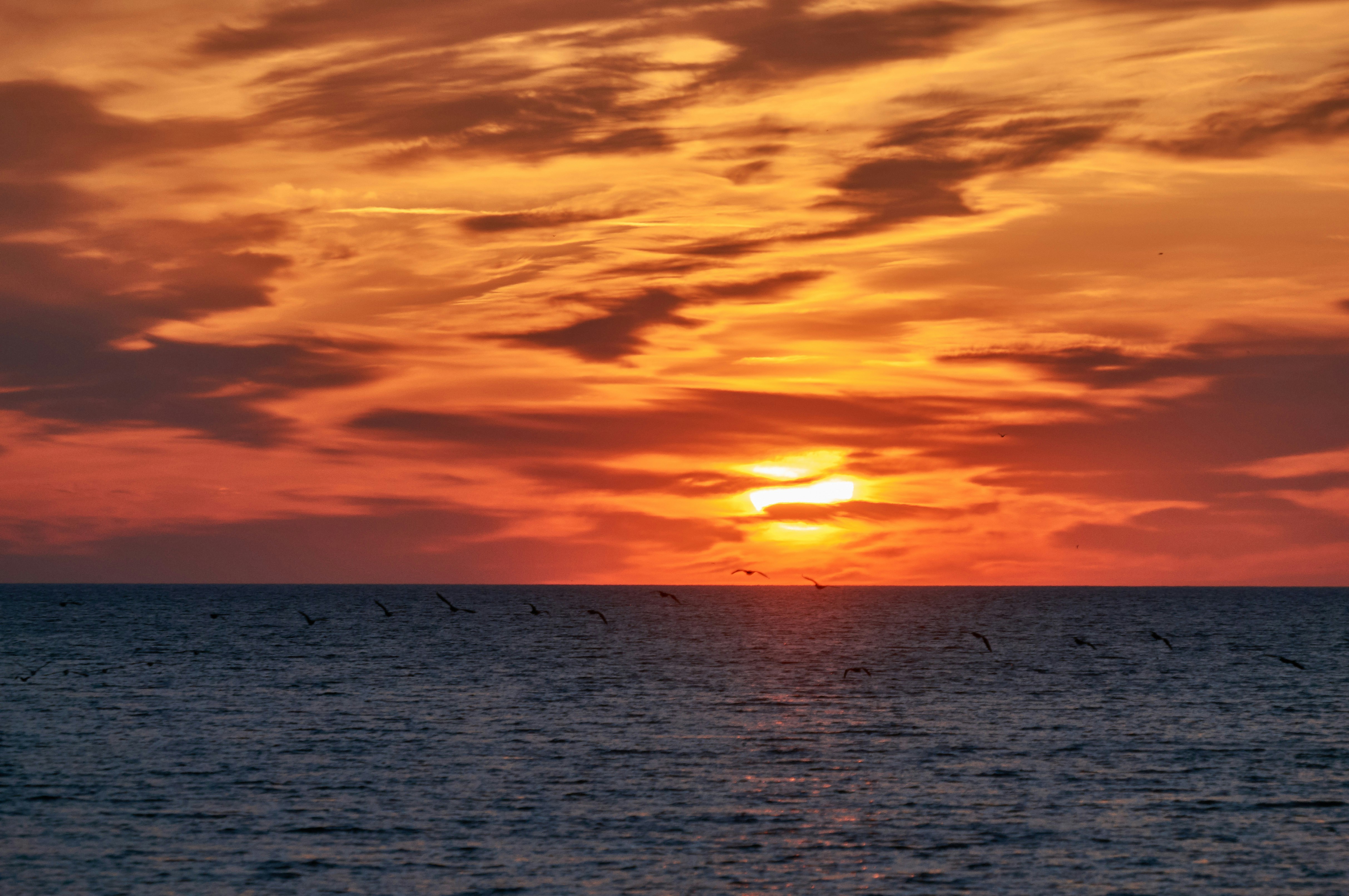 Photo by wolfgang_hasselmann